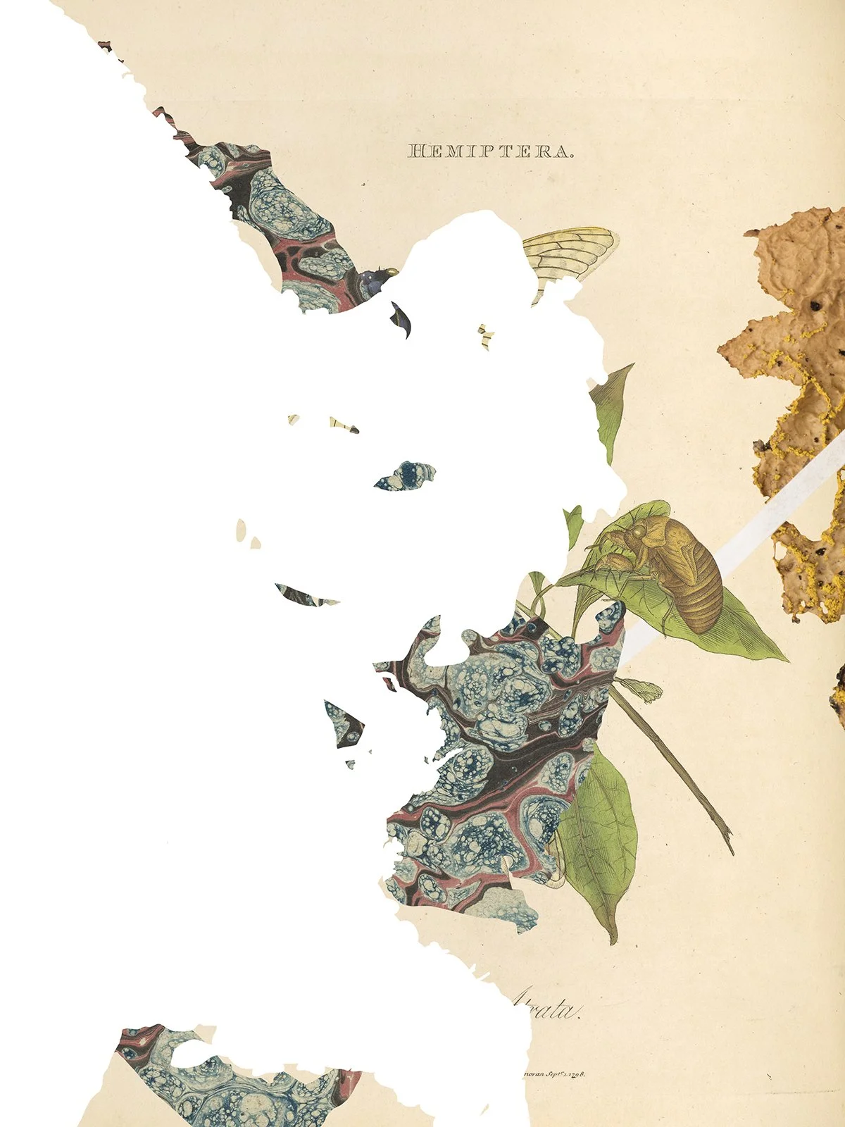 Gracia Haby Louise Jennison_NGV_zine workshop 2026_03.jpg