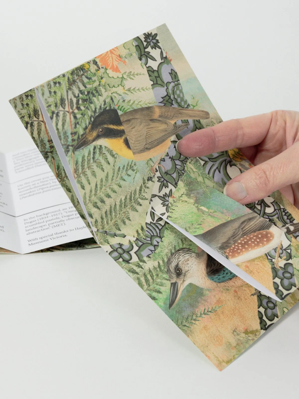 Gracia Haby Louise Jennison_NGV_zine workshop 2026_07.jpg