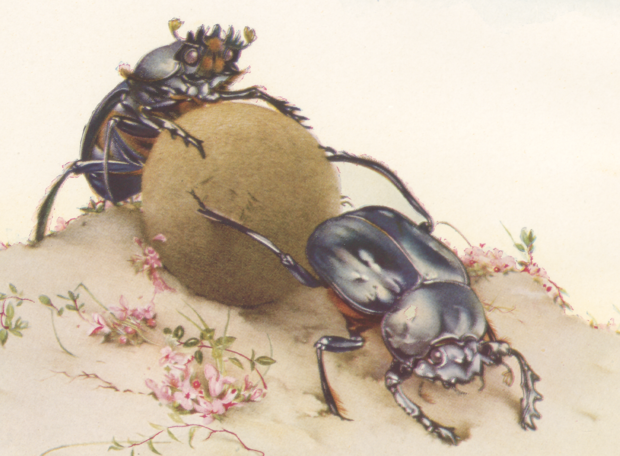 Sprung from the page