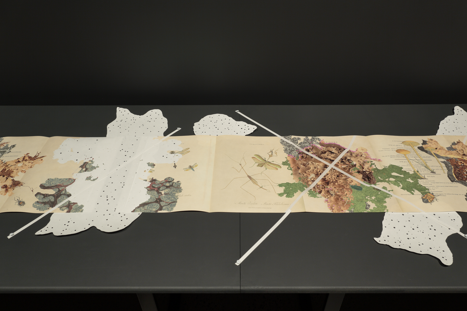 Gracia Haby_Louise Jennison_Can we dream it_03.png
