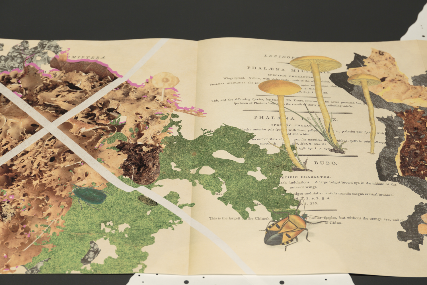Gracia Haby_Louise Jennison_Can we dream it_06.png