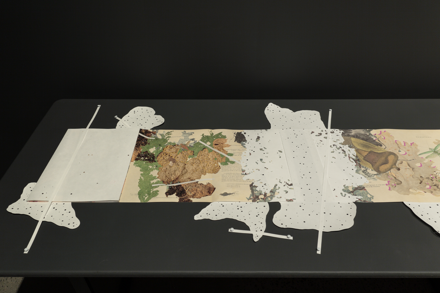 Gracia Haby_Louise Jennison_Can we dream it_10.png