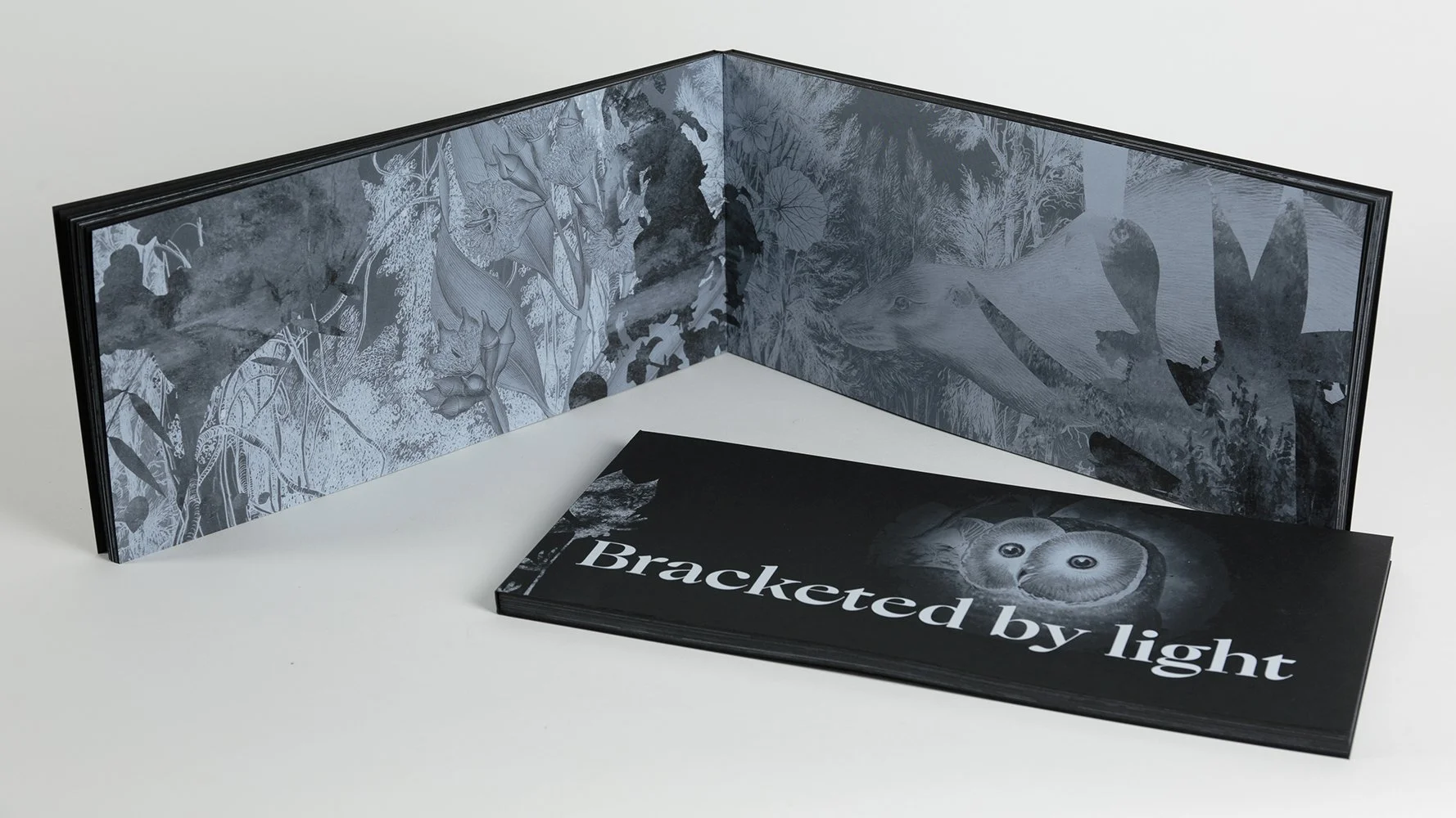  Gracia Haby &amp; Louise Jennison  Bracketed by light,  2022 26 page, perfect bound artists’ book  Edition of 100  (Photo: Tim Gresham) 