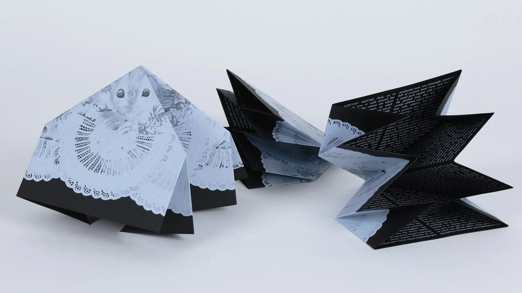  Gracia Haby &amp; Louise Jennison  Juniper &amp; the Berries,  2025 Turkish Map Fold zine Edition of 100  (Photo: Tim Gresham) 