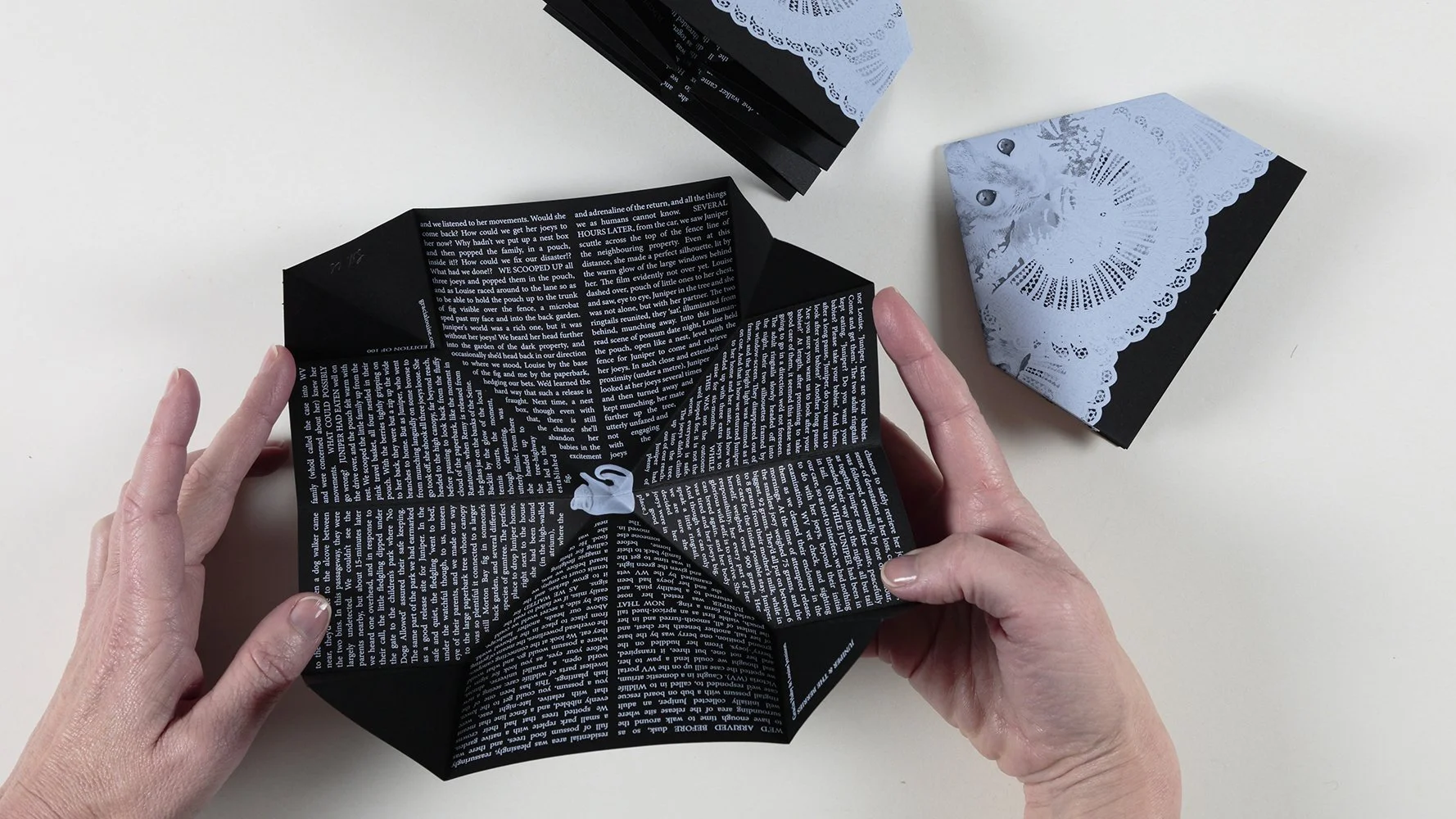  Gracia Haby &amp; Louise Jennison  Juniper &amp; the Berries,  2025 Turkish Map Fold zine Edition of 100  (Photo: Tim Gresham) 