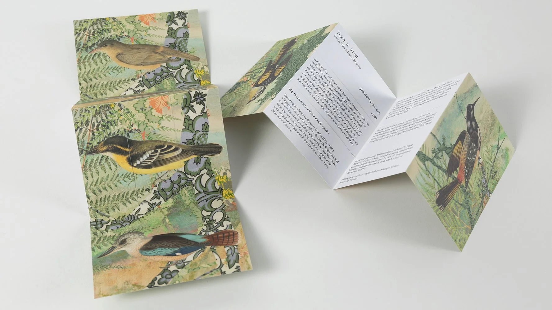  Gracia Haby &amp; Louise Jennison  Turn a bird,  2024 Folded zine Edition of 100  (Photo: Tim Gresham) 