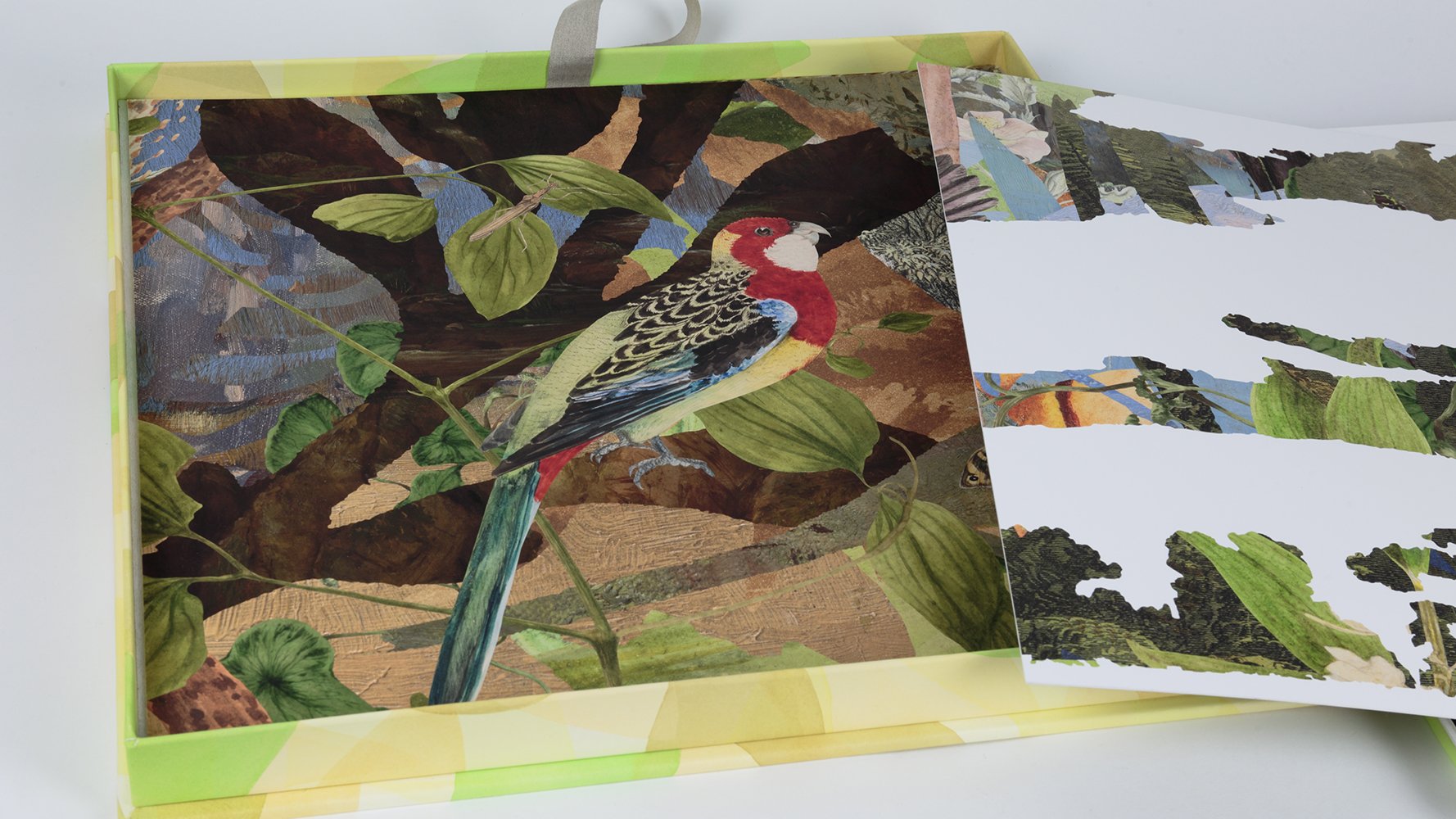  Gracia Haby &amp; Louise Jennison  Restoring corridors,  2024 12 double-sided image panel artists’ book with 5 text pages, with accompanying narrative, housed in a box with original watercolour cover Edition of 4  (Photo: Tim Gresham) 