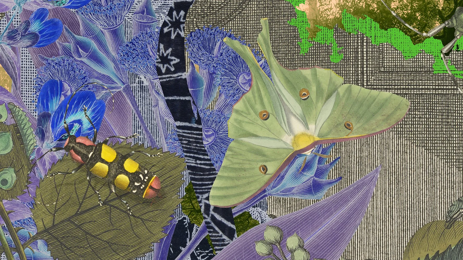  Gracia Haby &amp; Louise Jennison  Specimen 1963  (detail), 2026 