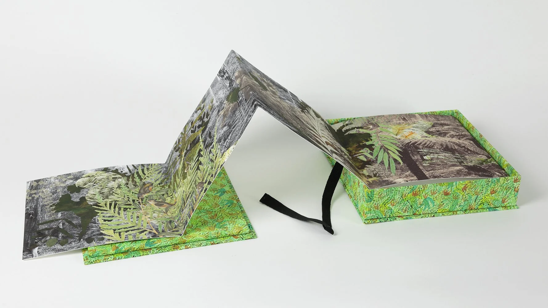  Gracia Haby &amp; Louise Jennison  Something reverberated,  2021 20 page concertina artists’ book Edition of 2  (Photo: Tim Gresham) 