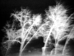               Bill Viola – The Passing video             (introduzione Maggie Jackson)