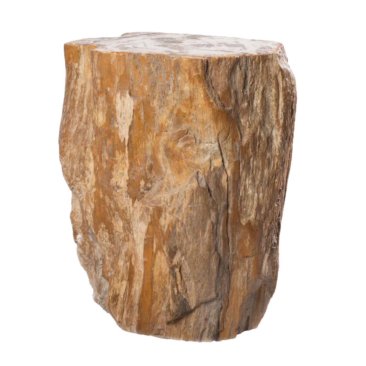 Petrified Wood Stool