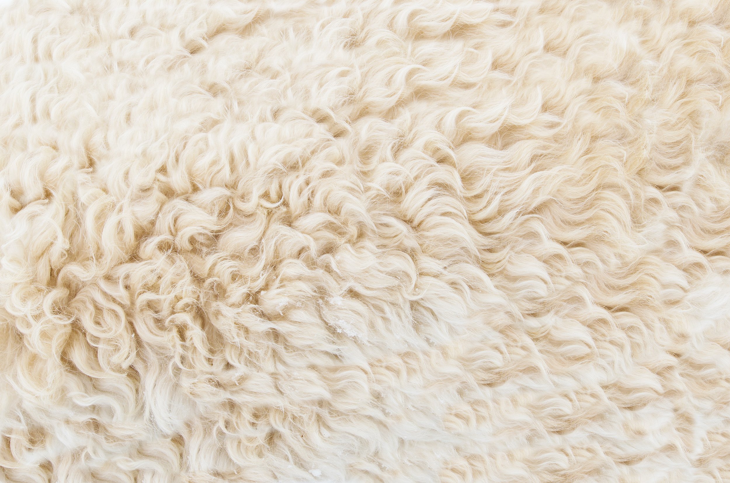 background-beige-brown-317333.jpg