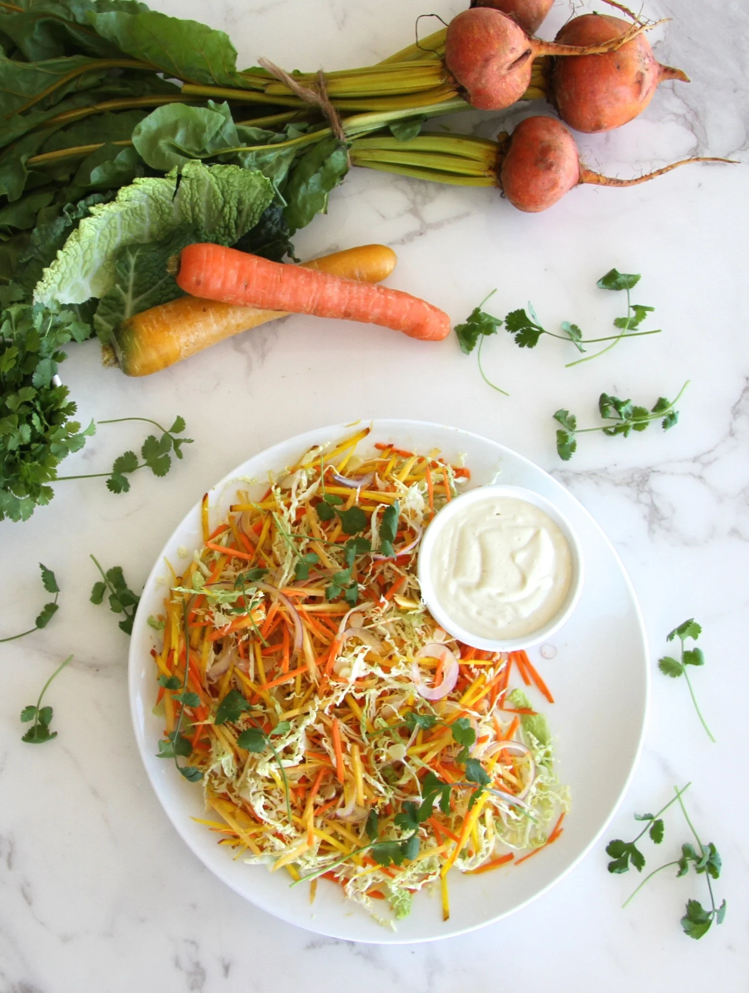 Sunshine Slaw with Lemon Macadamia Mayonnaise