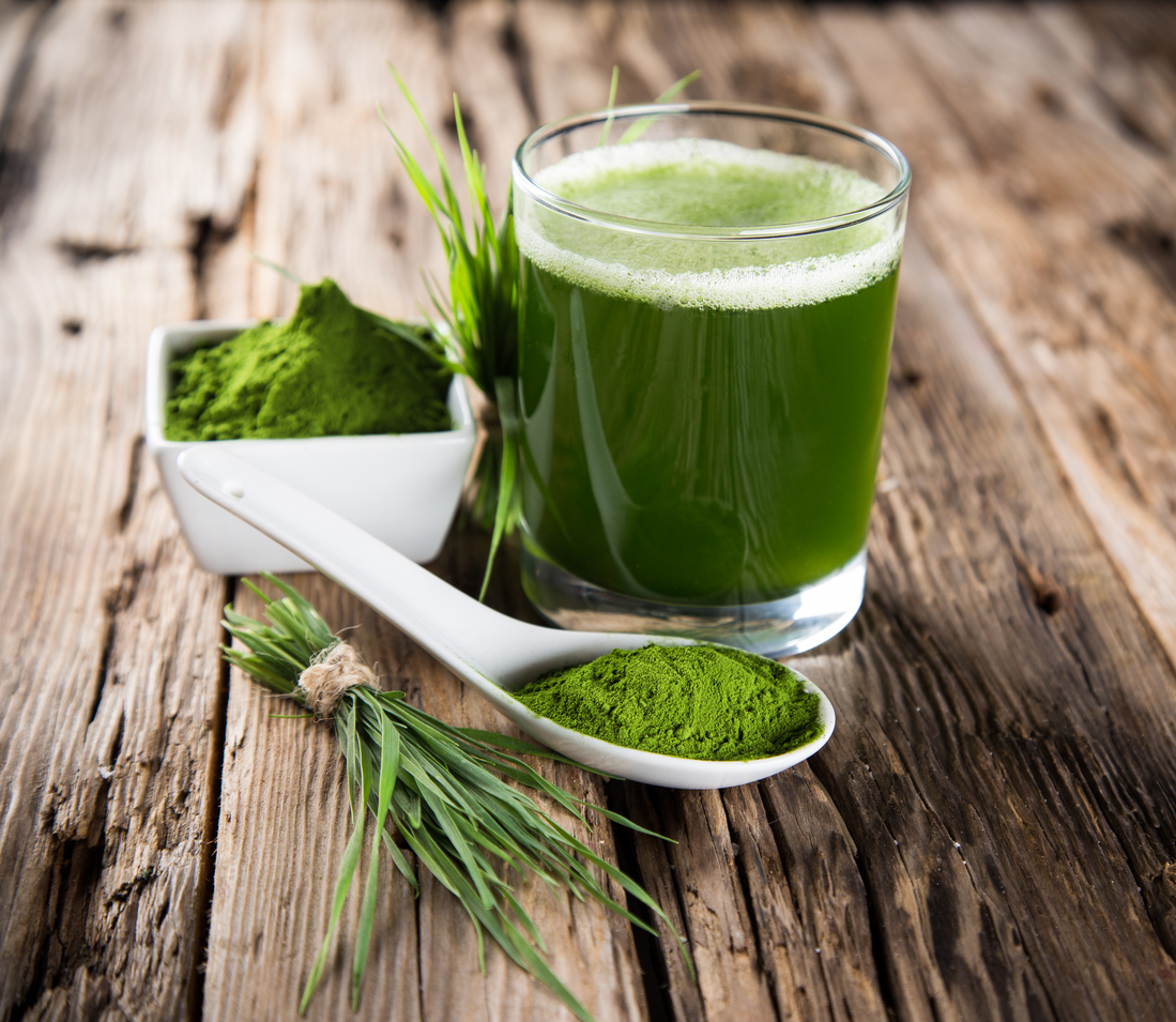 Barley grass - iStock-496680677.jpg