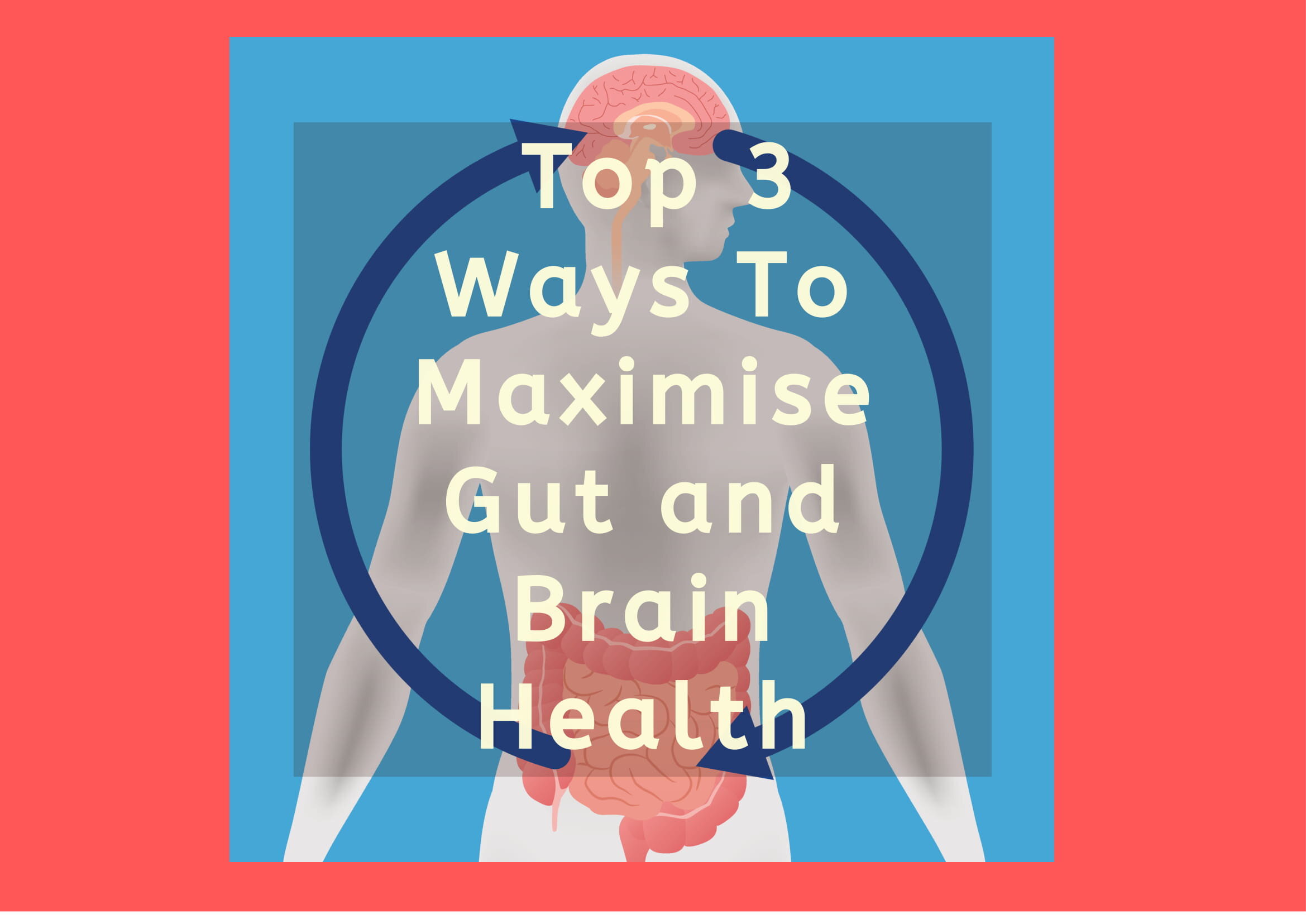 Top 3 Ways To Maximise Gut and Brain Health
