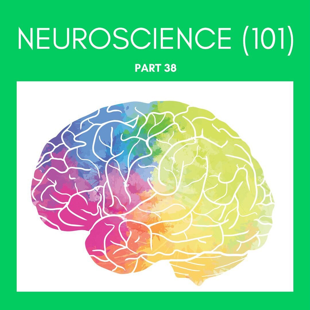 Neuroscience 101 (38)

A recent podcast with @reallygoodconversations prompted this post!

Thanks @al_faulkner 💗

Conversations are great for our 🧠 because they provide:

🧠 Cognitive stimulation which supports 🧠 health over our lifetime
	
🧠 Mean