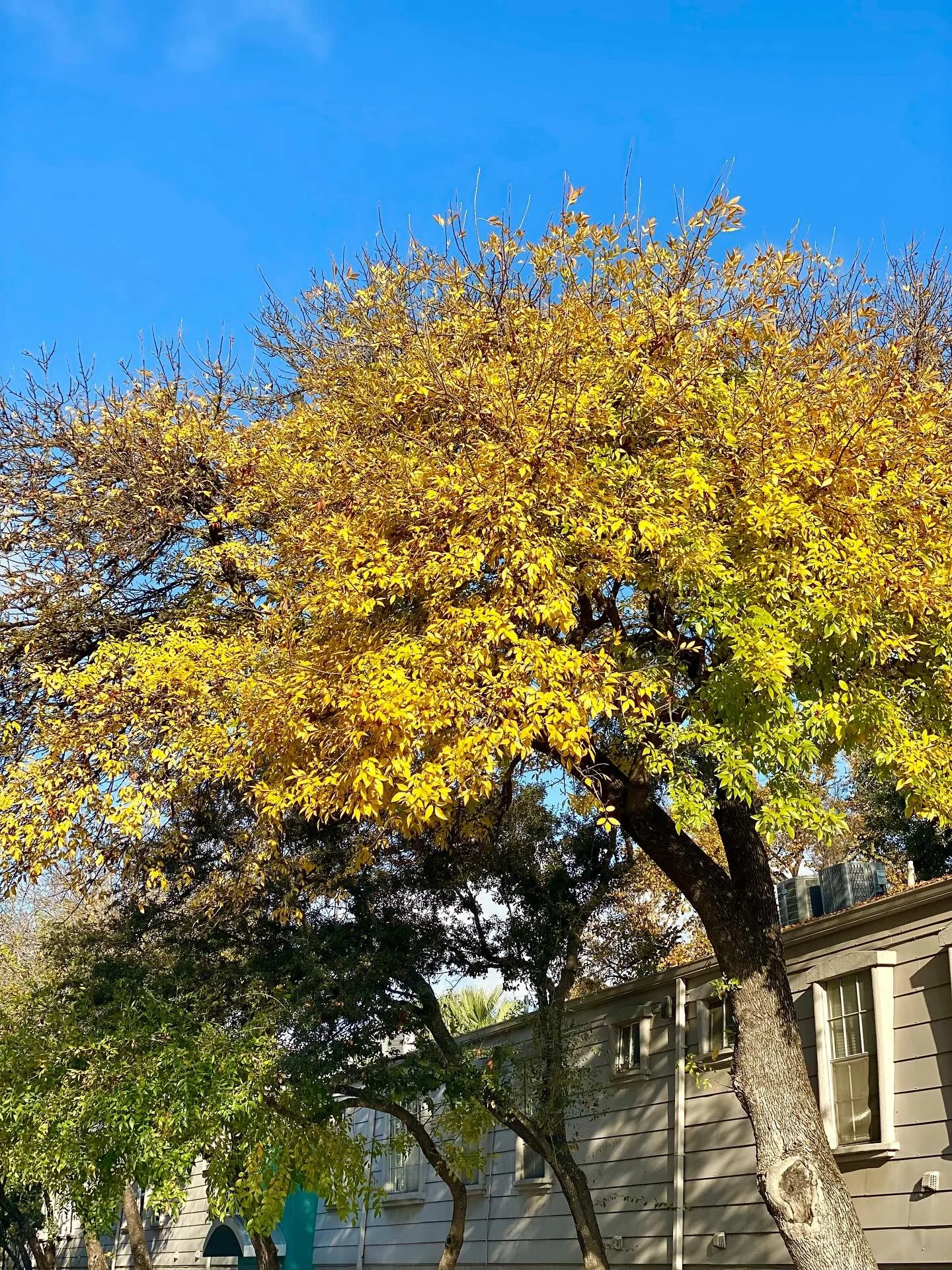 Resilience isn&rsquo;t all about grit, tenacity and pushing yourself &hellip;

It has to include: Rest and Recovery,  Rejuvenation and Recalibration &hellip;

As the seasons change and we feel lower temperatures here in the N Hemisphere it may be tim
