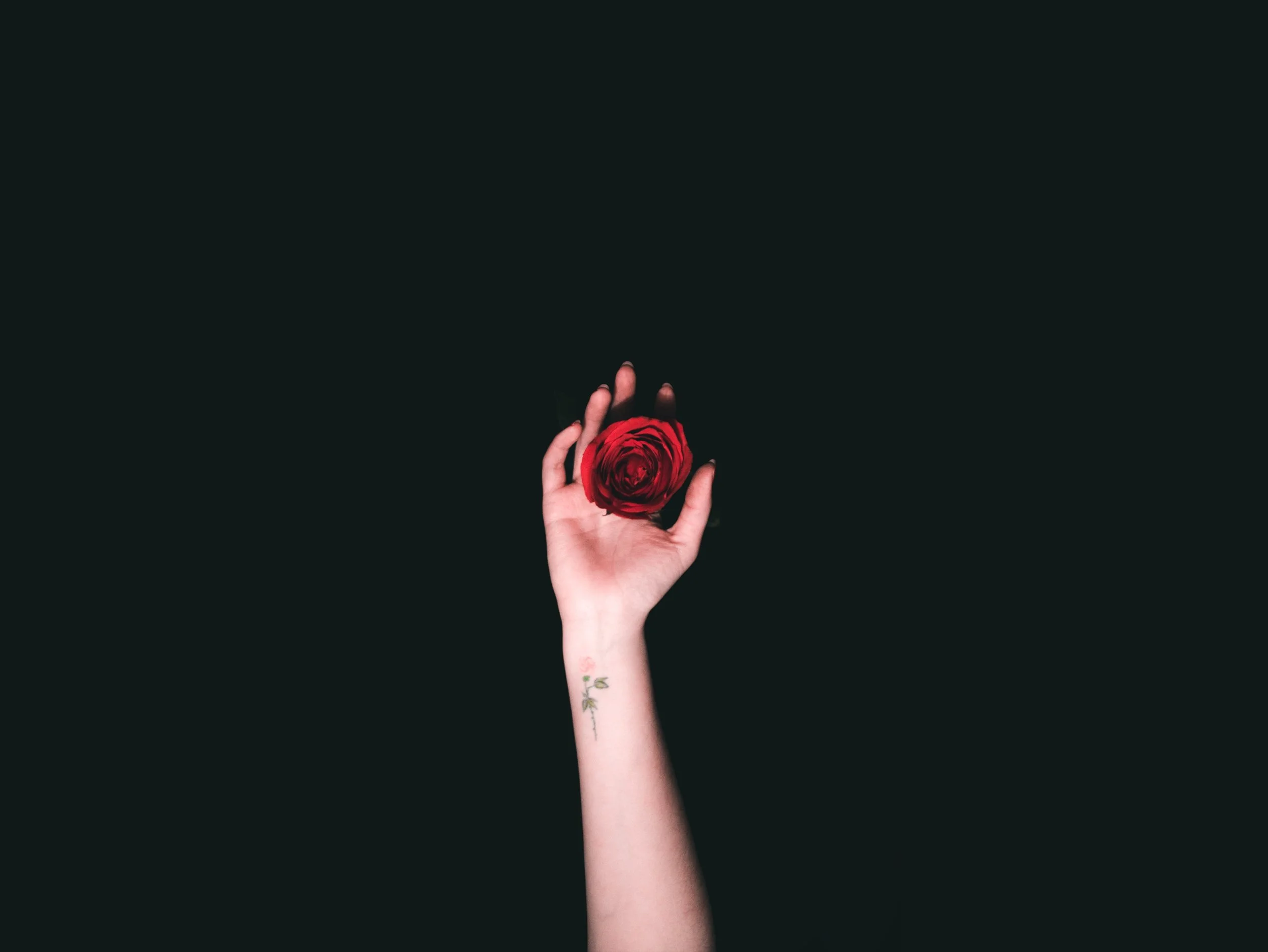 Photo by Daniel Apodaca on Unsplash