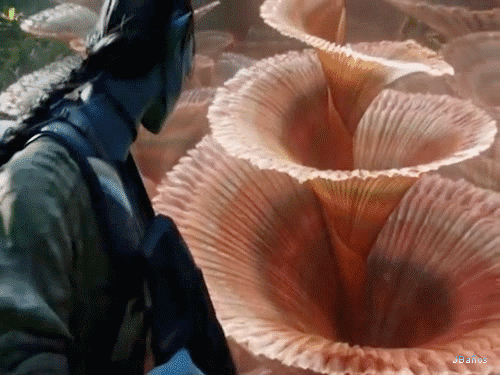 avatar-Helicoradian.gif