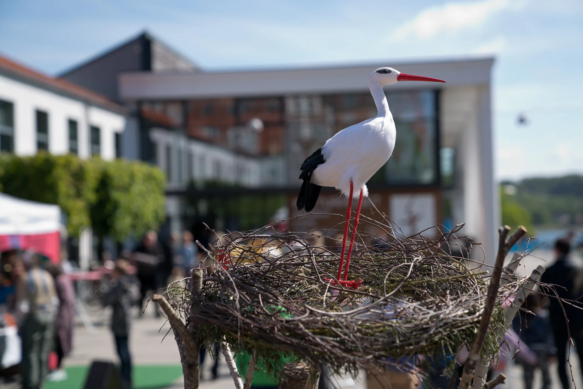 Sløngeldage lørdag - web - Fotograf Per Bille-20190525-09662.jpg