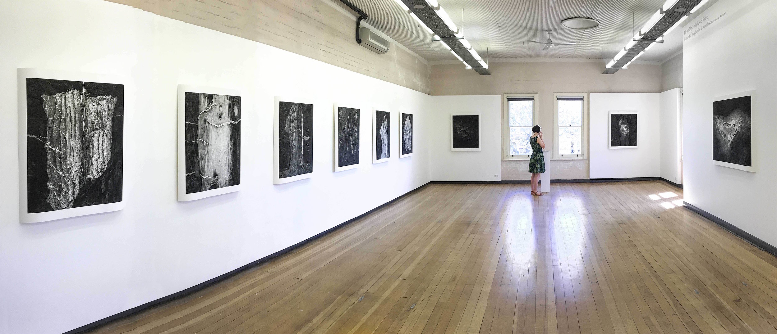 ' Anatomy of Deep Creek Longitude -035.655200, Latitude unknown ' was exhibited in Gallery 2 at the Adelaide Central School of Art in late 2016. Works from the series also exhibited at the Perth Institute of Contemporary Art (PICA) and the SASA Gallery in Adelaide