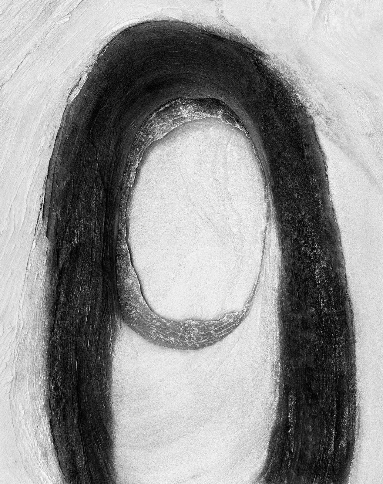 Christopher Houghton, 2015, Elder , 110cm x 90cm.
