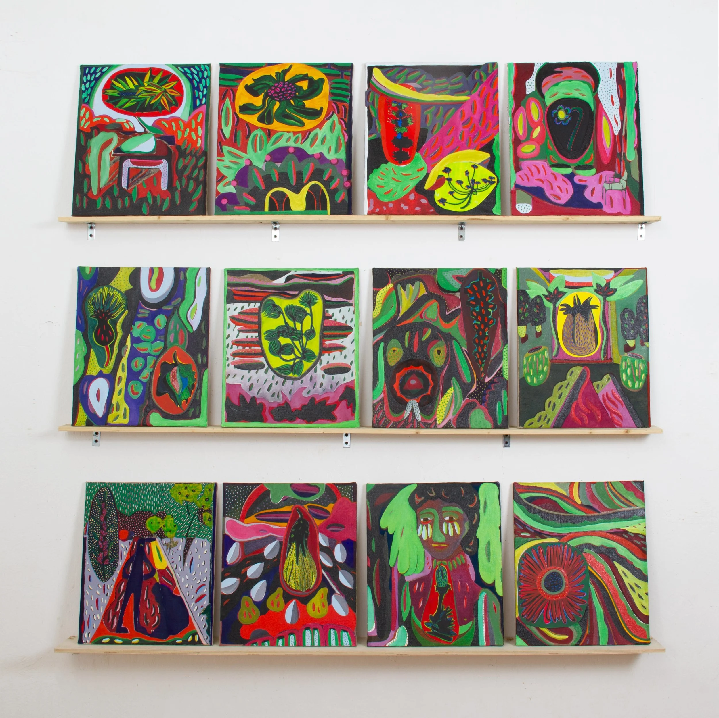 Installation shot, 12 paintings
