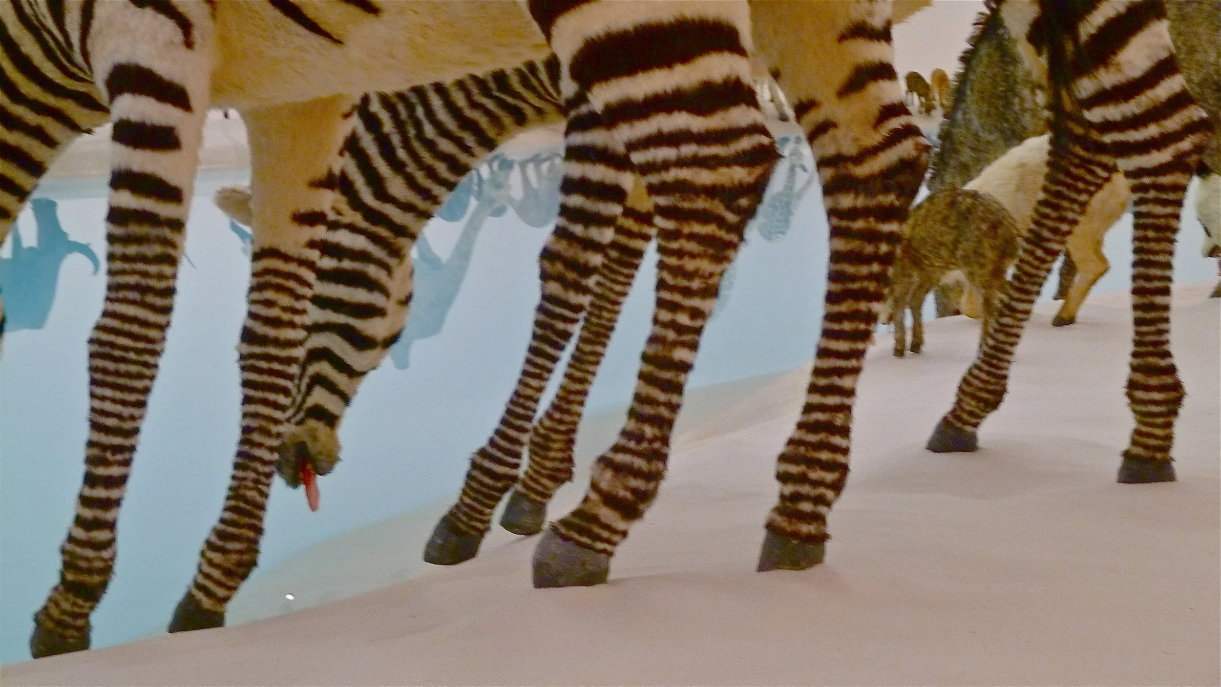 Falling Back to Earth by Cai Guo-Qiang at Gallery of Modern Art (GOMA), Brisbane 
