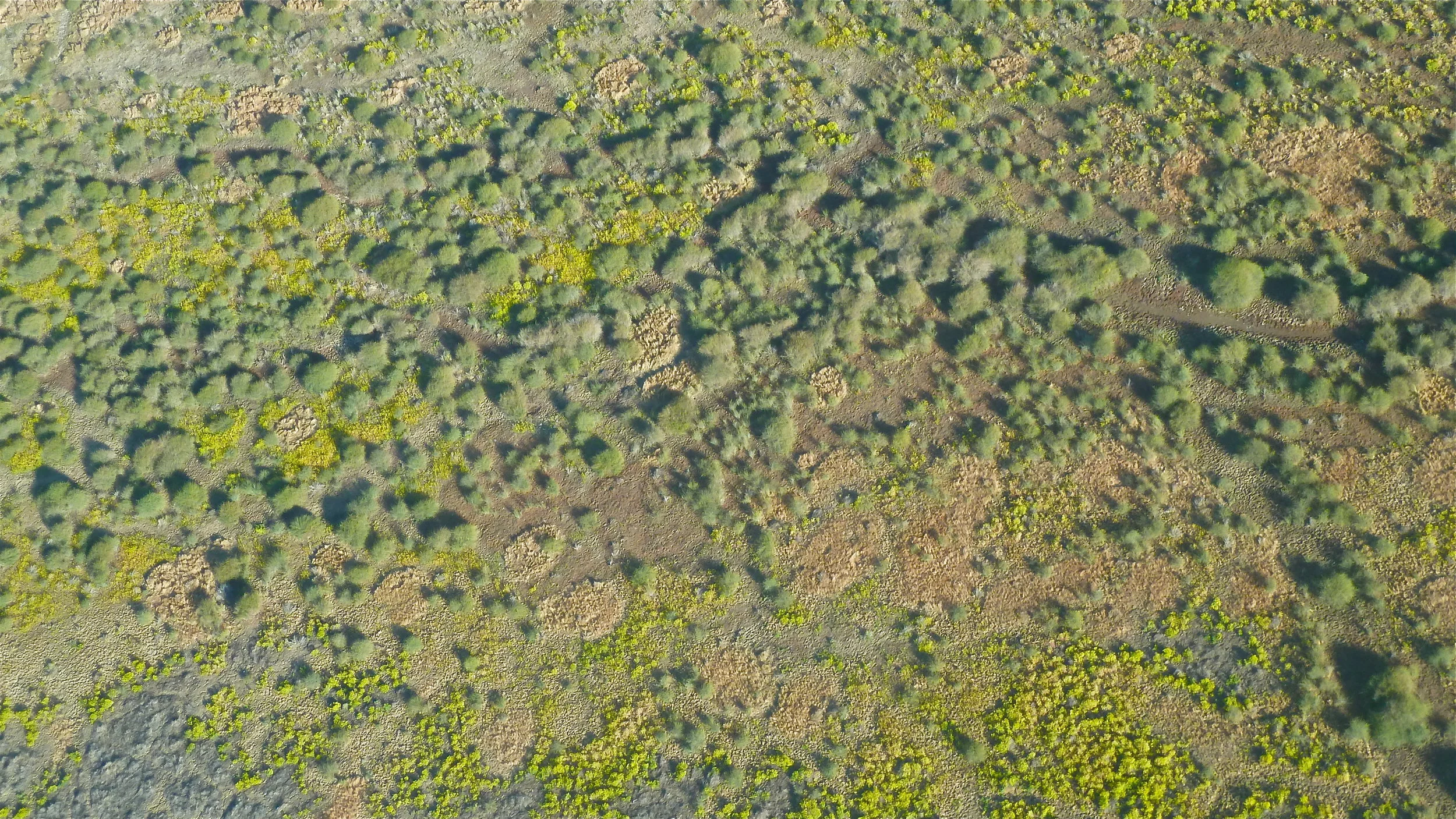 Goyder Lagoon, South Australia