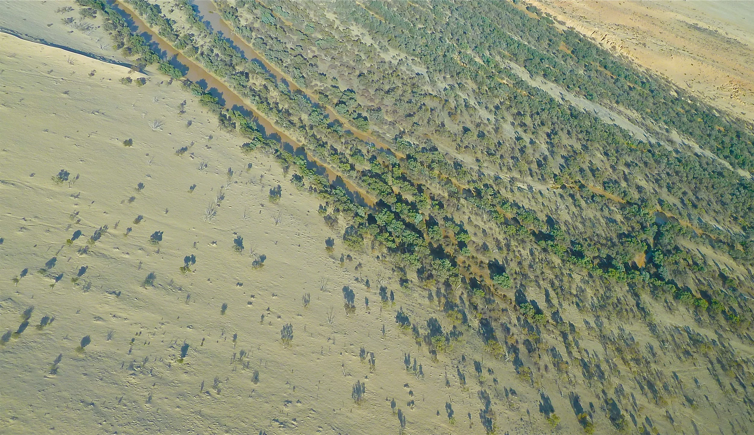 Diamantina floodplain, South Australia