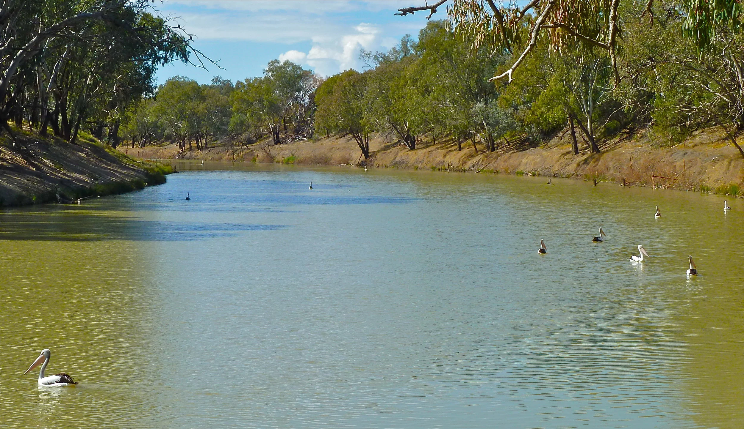 Darling River at Bourke, New South Wales