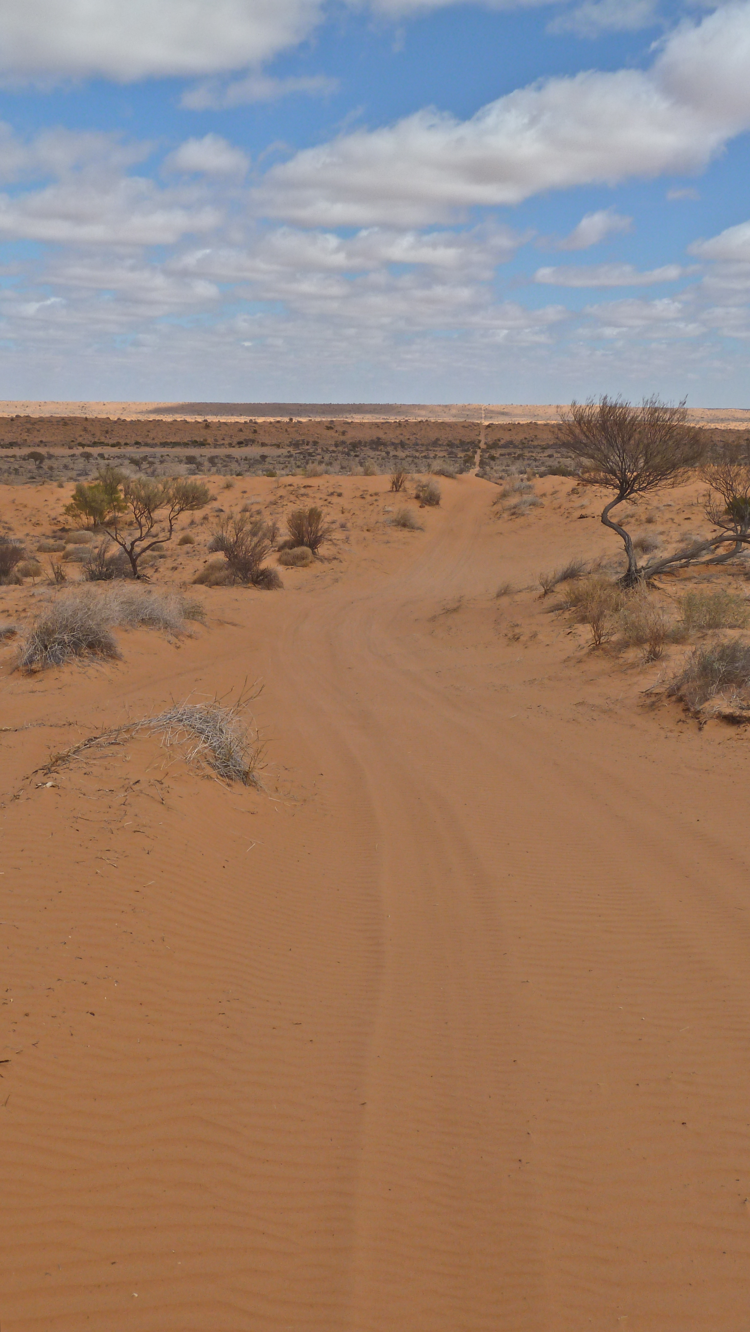 Into the desert