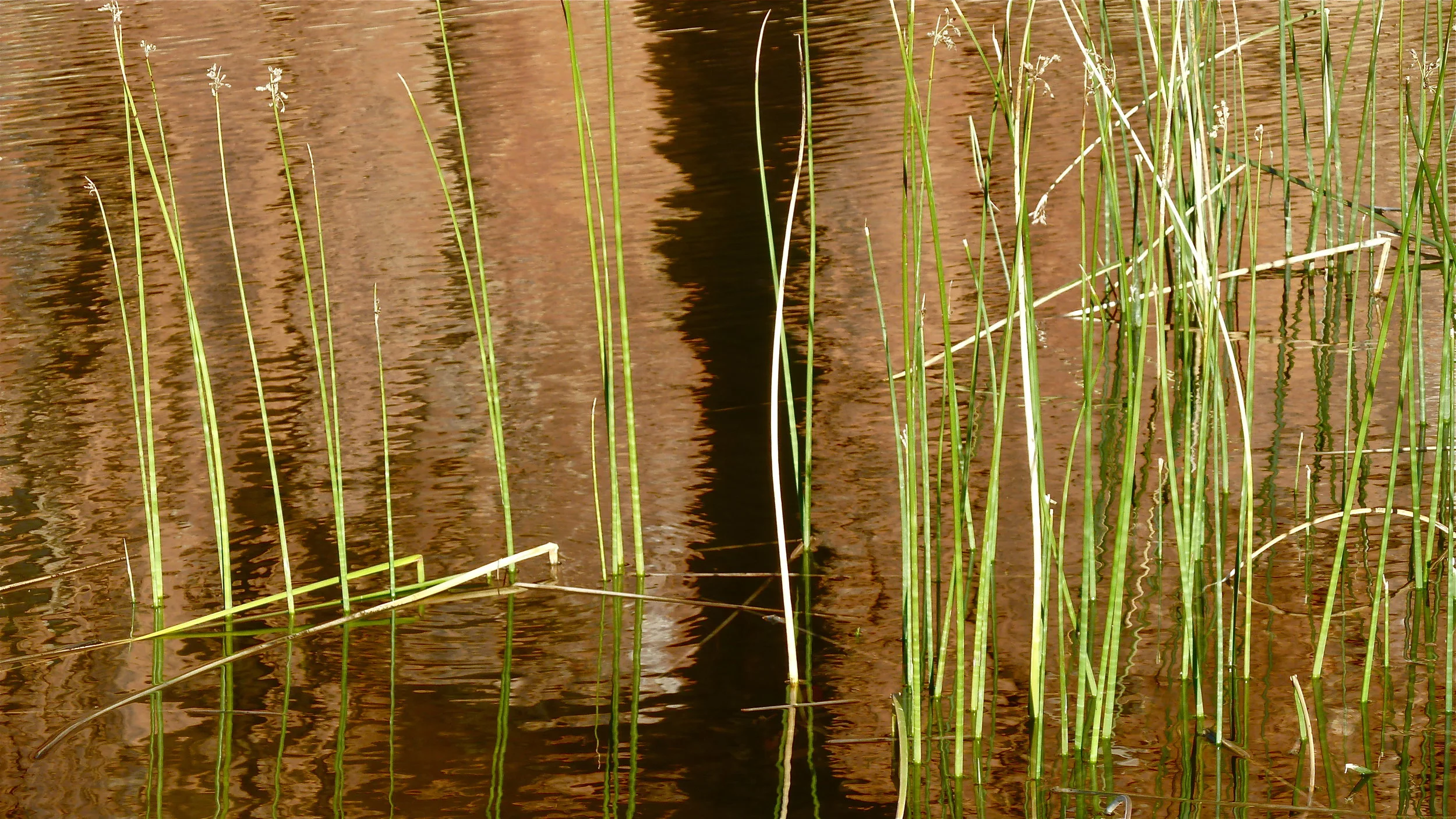 L1300554.JPG
