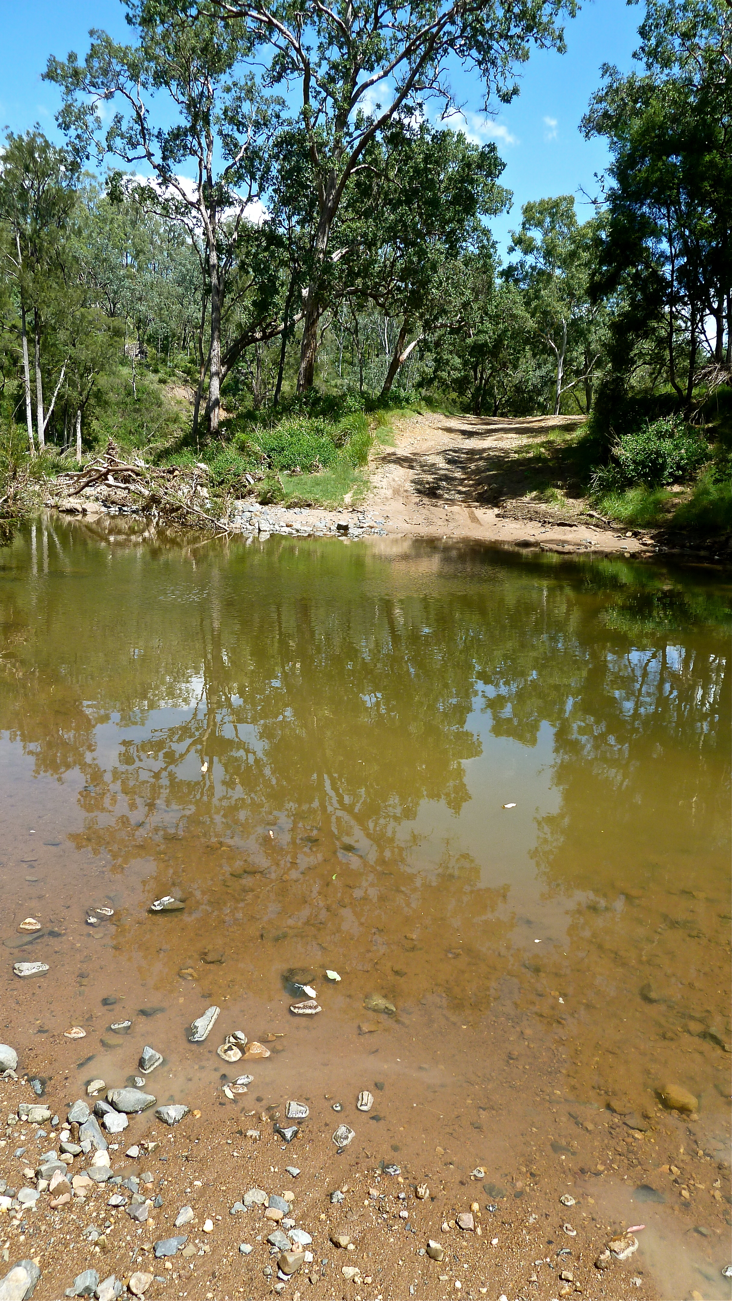 Mar: in search of the source of the Brisbane River, near Jimna QLD