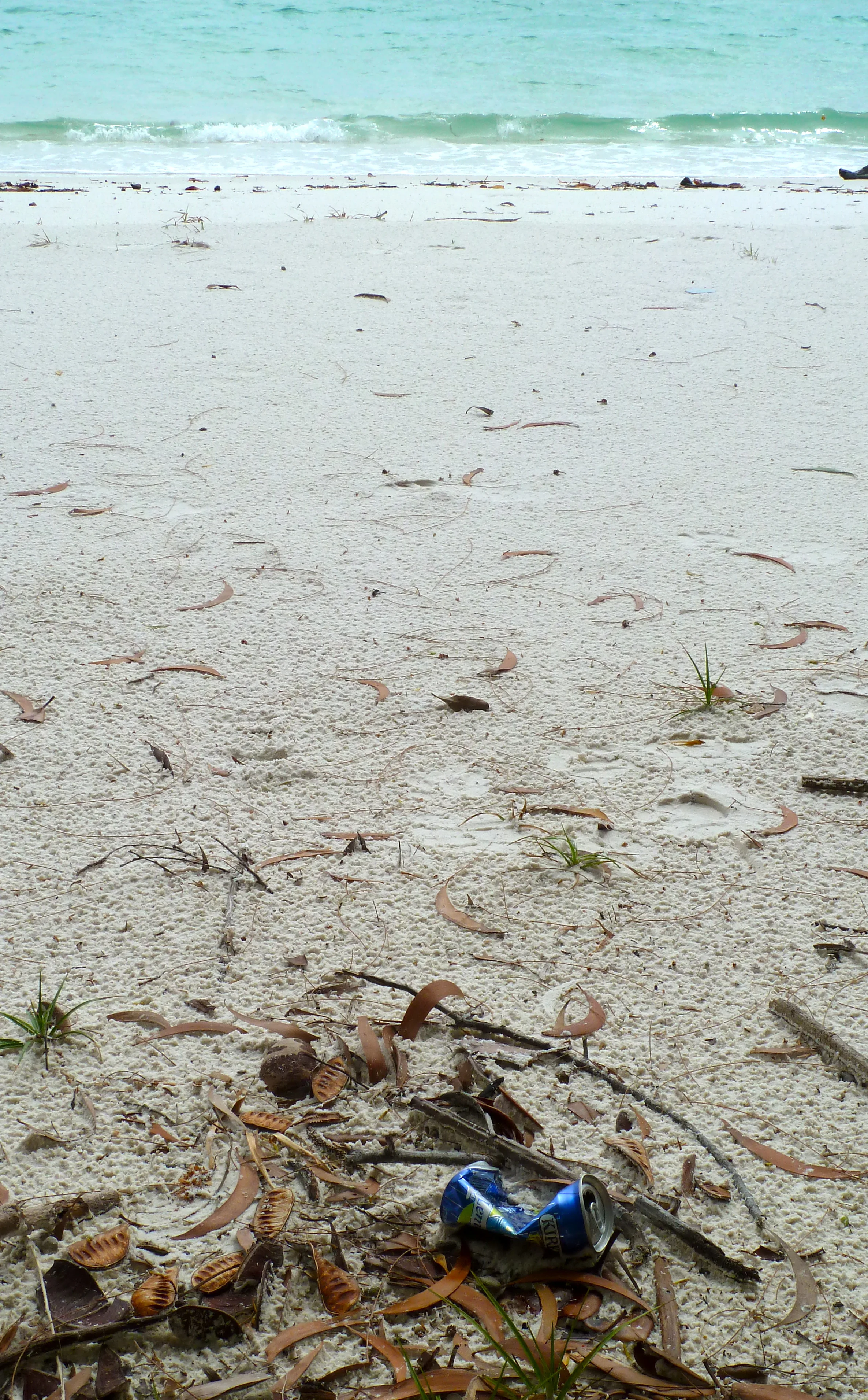 Getting away from it all – a can left behind on Whitehaven Beach, Whitsundays