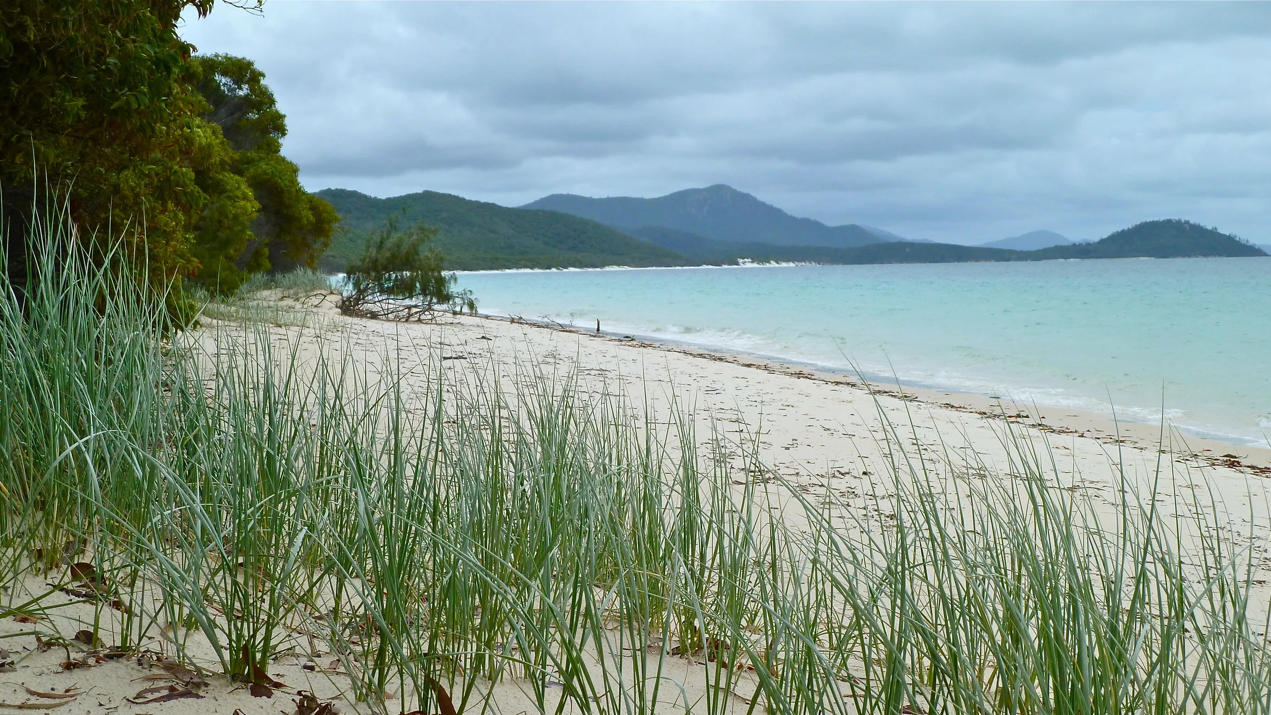 Whitsundays: Whitehaven hype