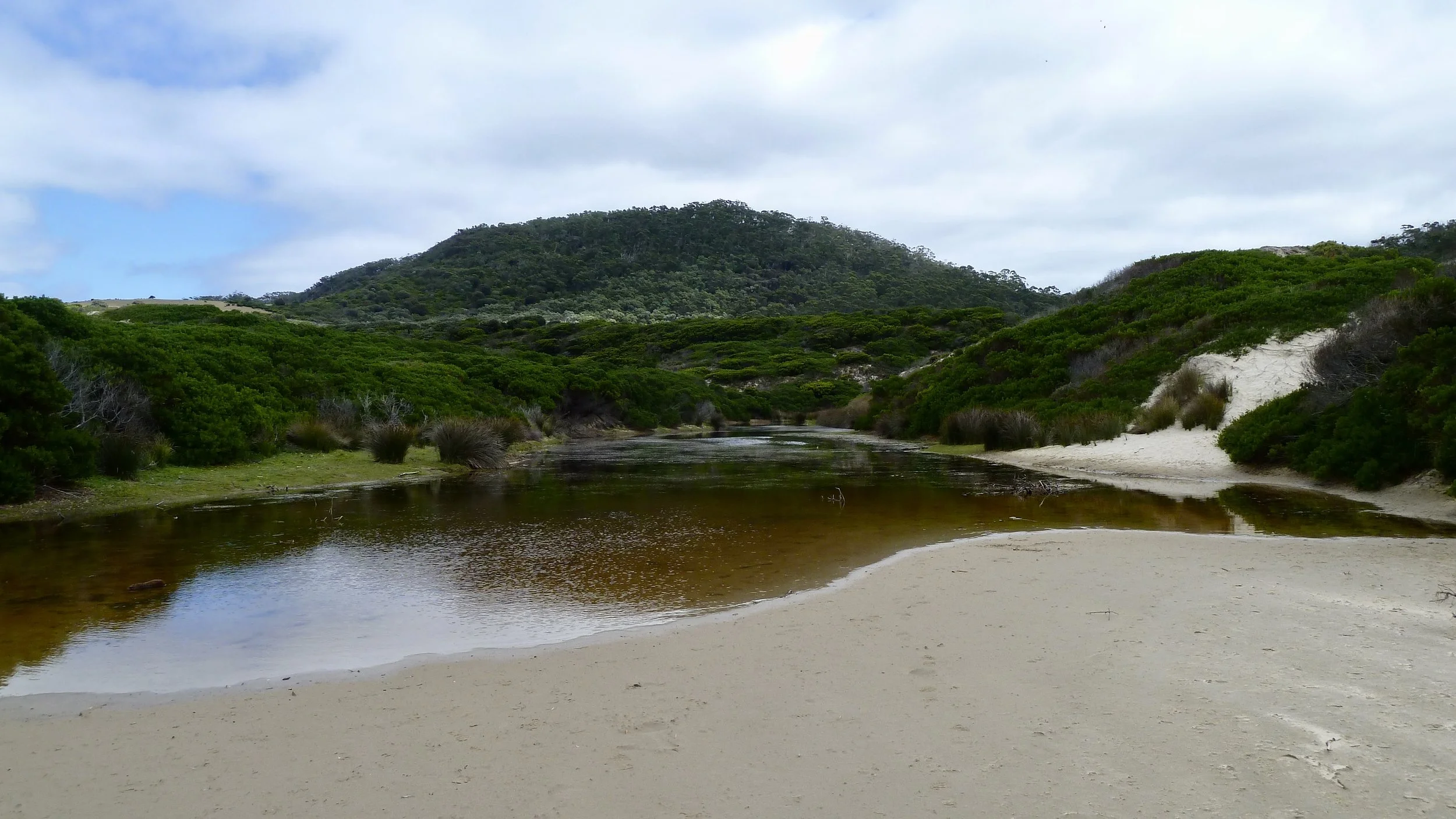 Roaring Beach Conservation Area