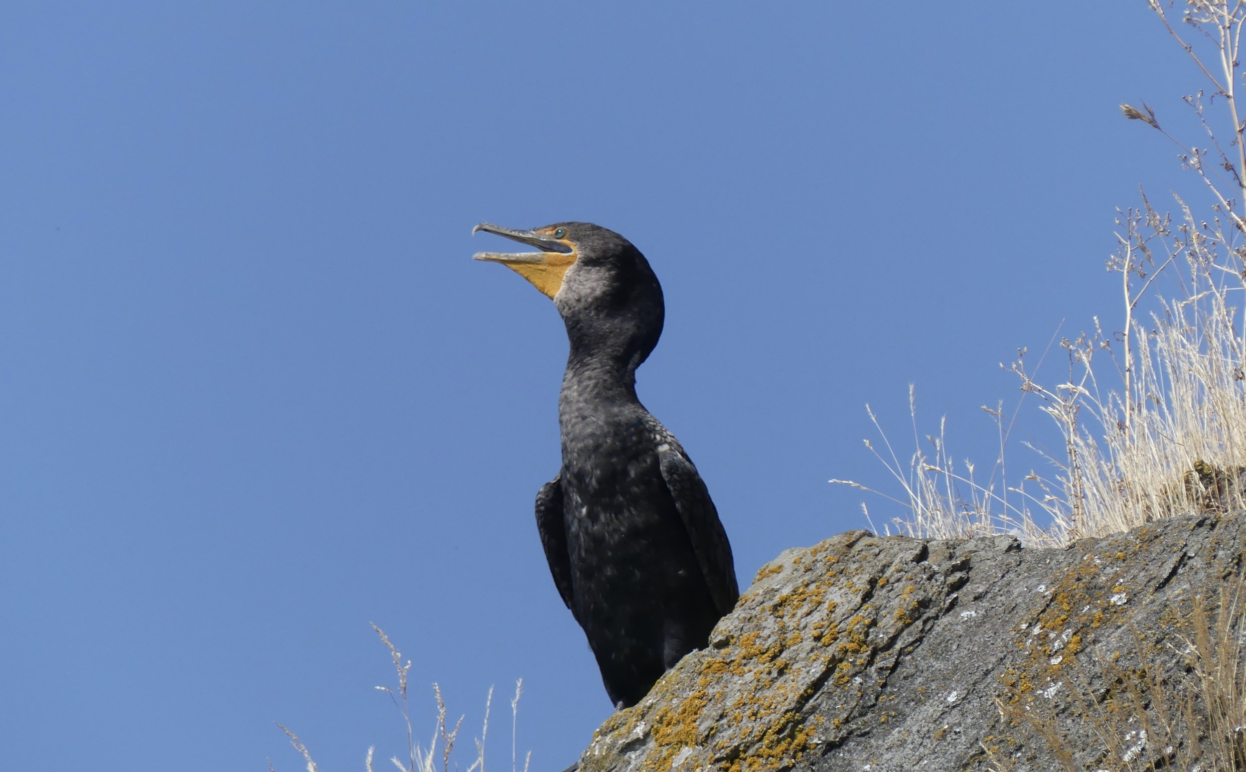 Did you see lots of wildlife?