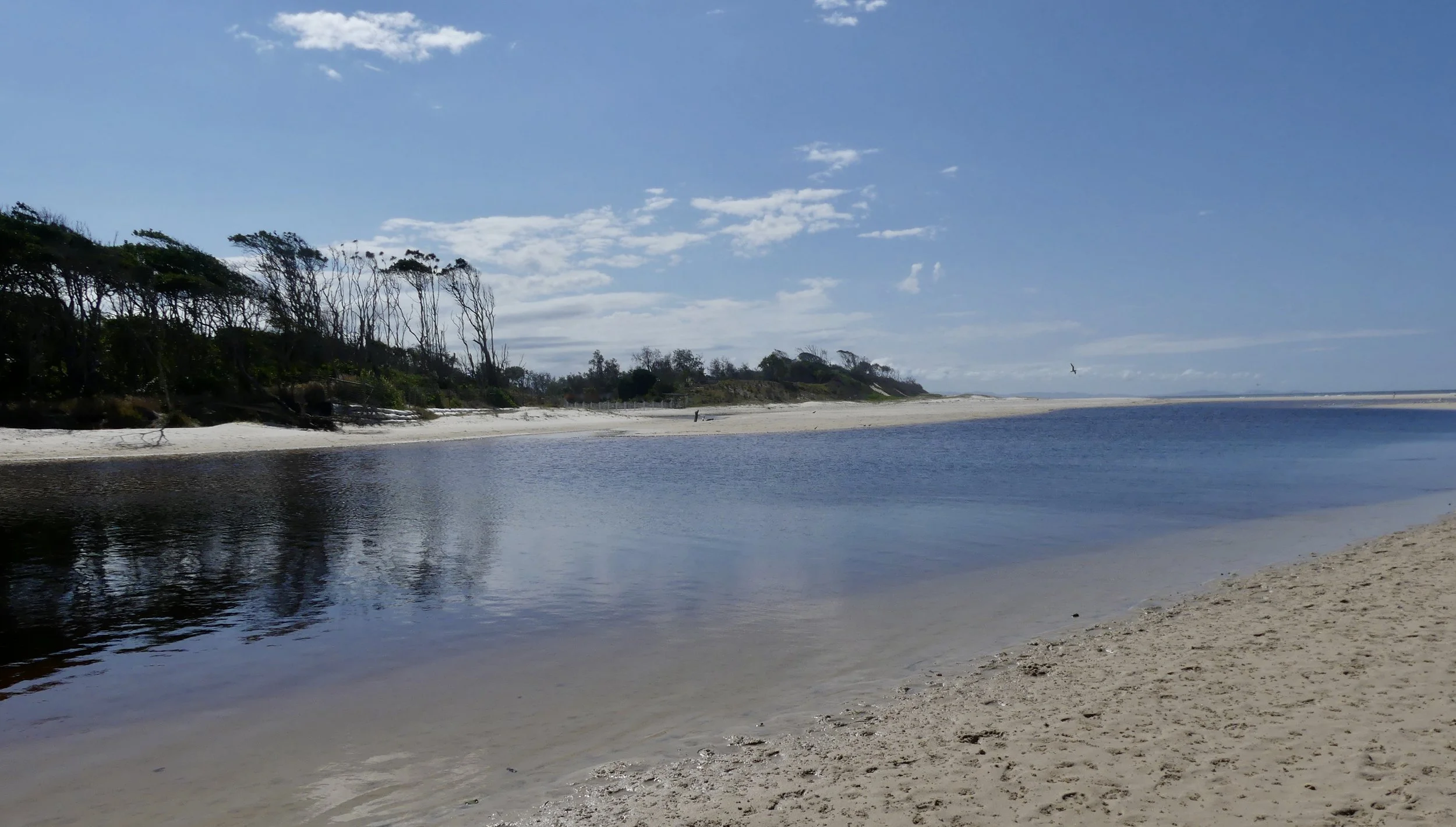 Belongil Creek