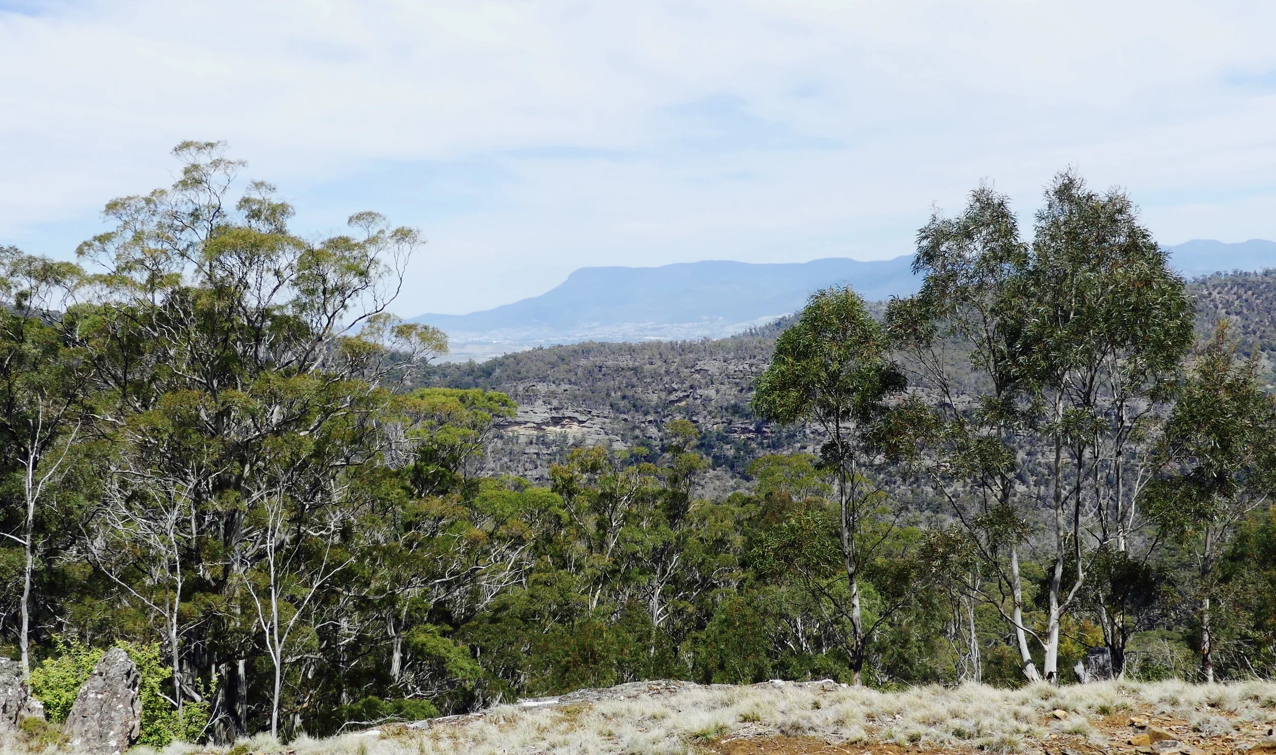 Revisiting Hobart, valuing nature