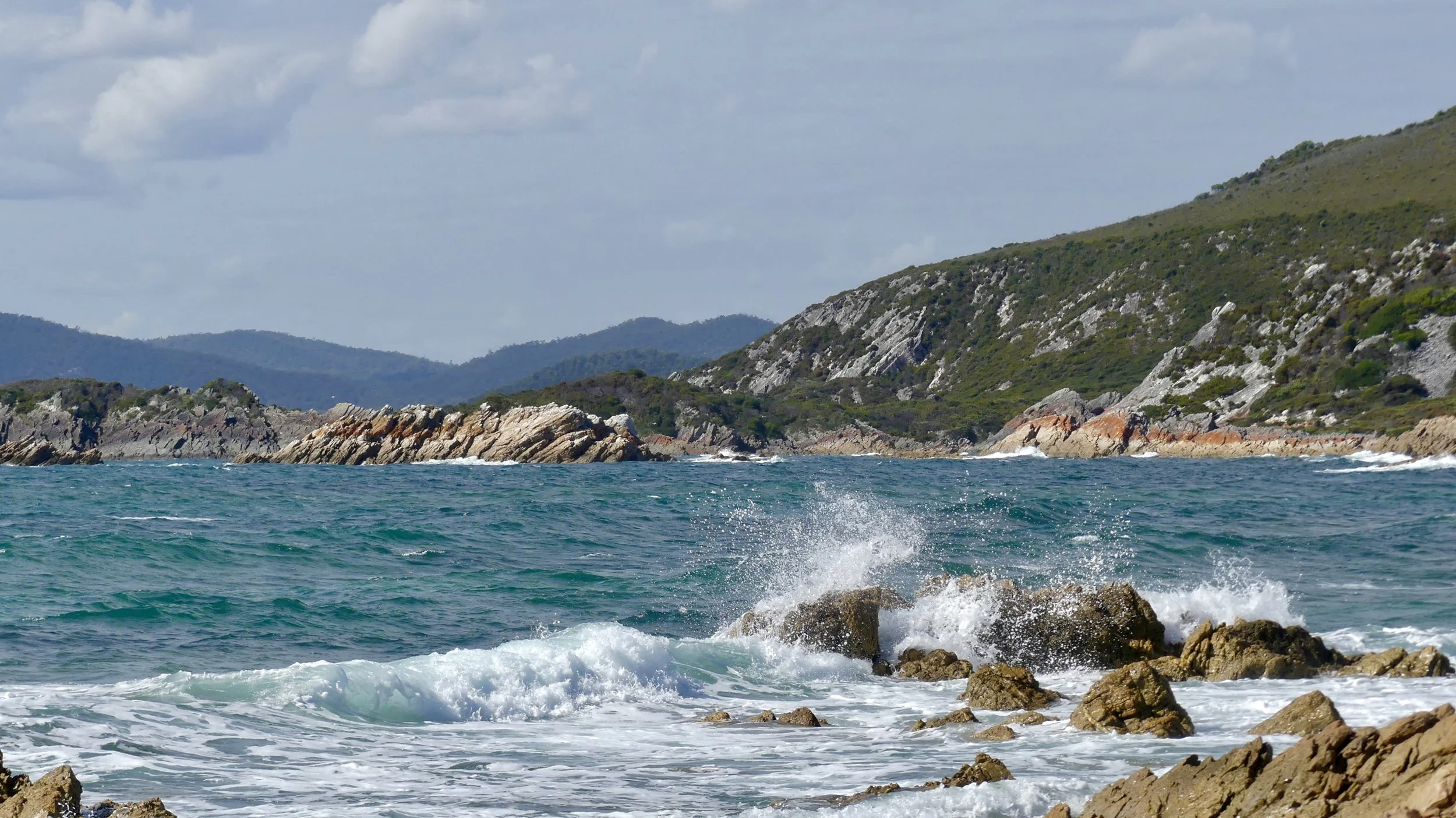 Burgess Cove