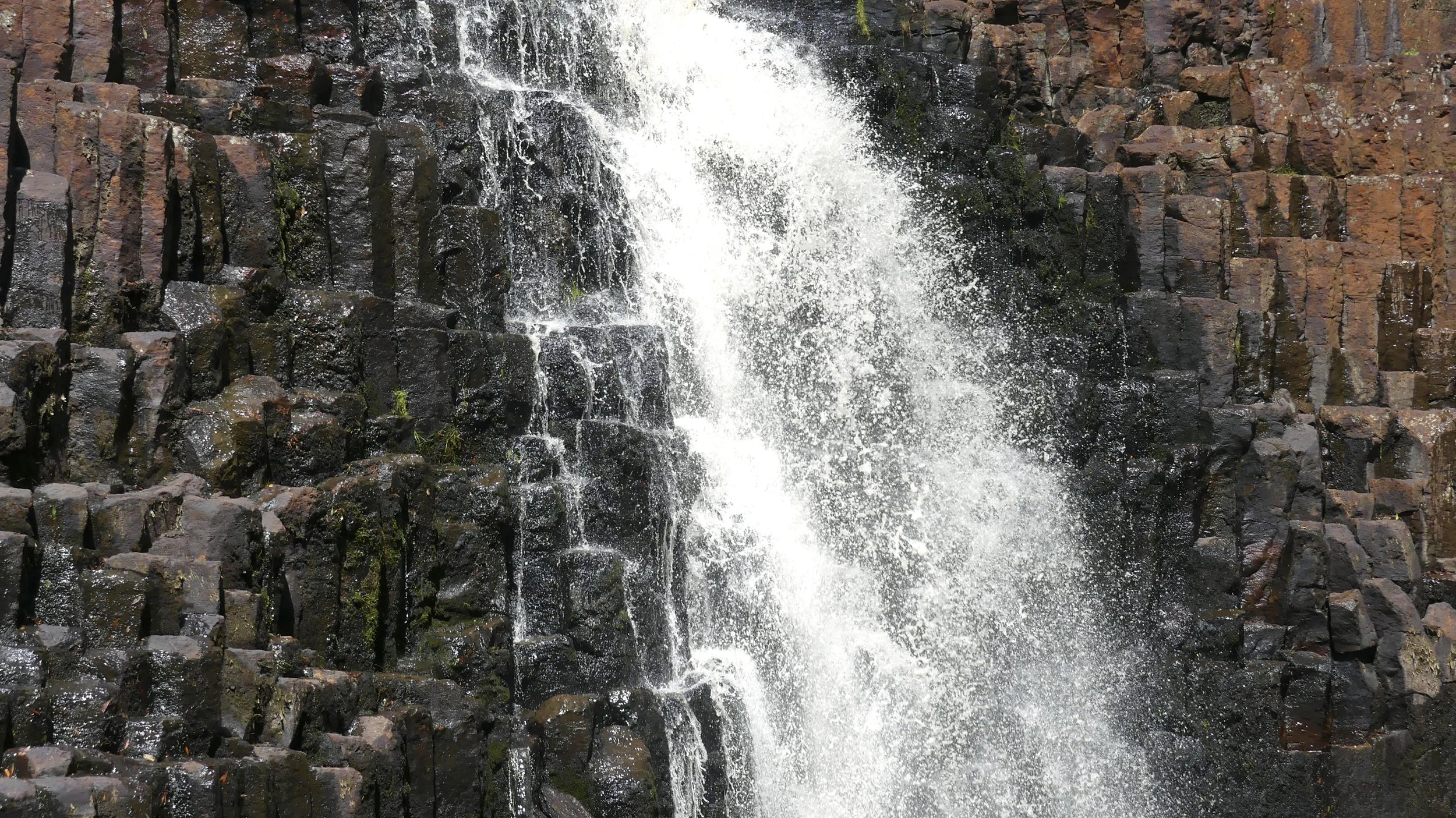 Rocky Cape, penguins and the best waterfall