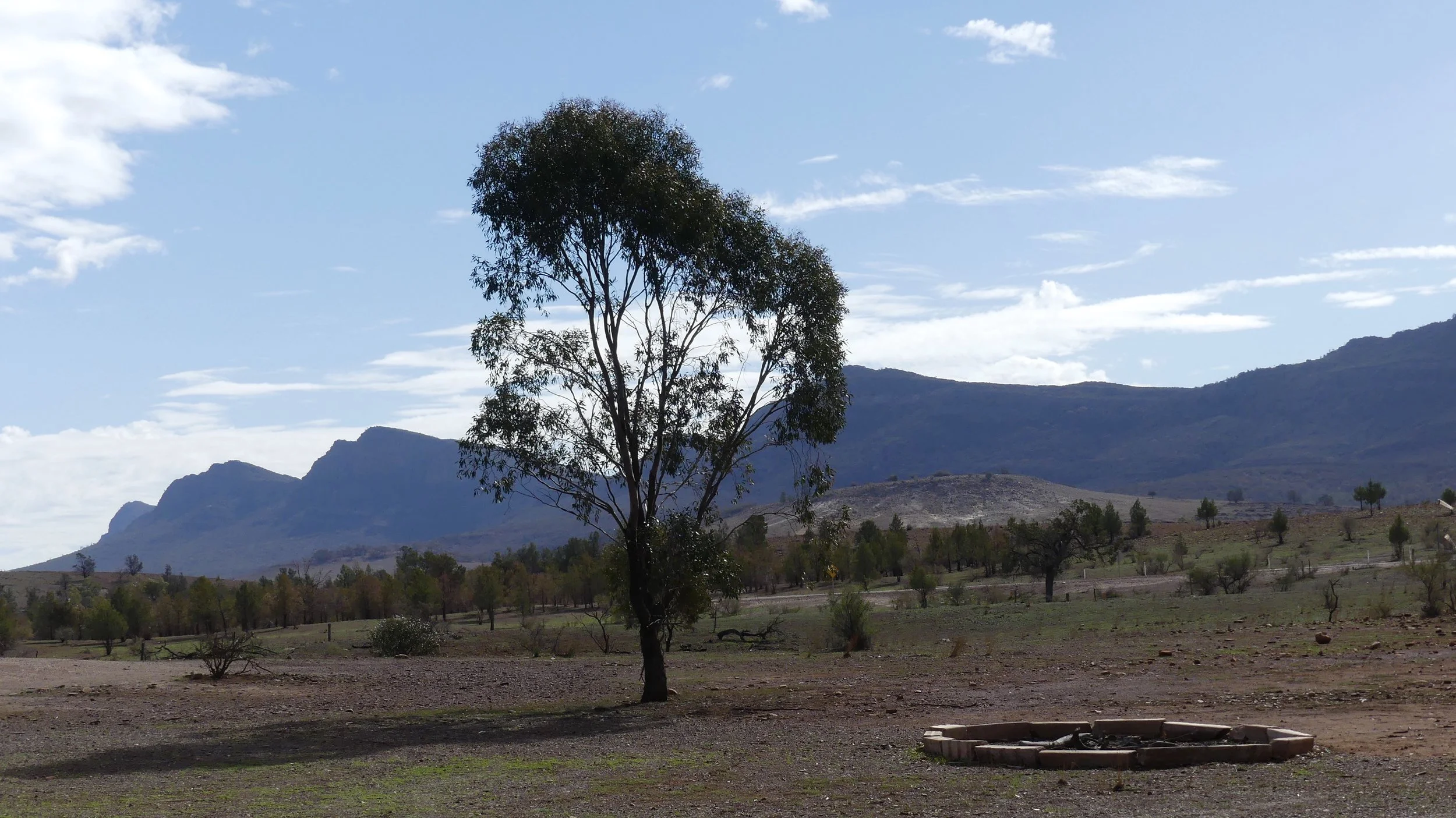 The western flank of Wilpena Pound