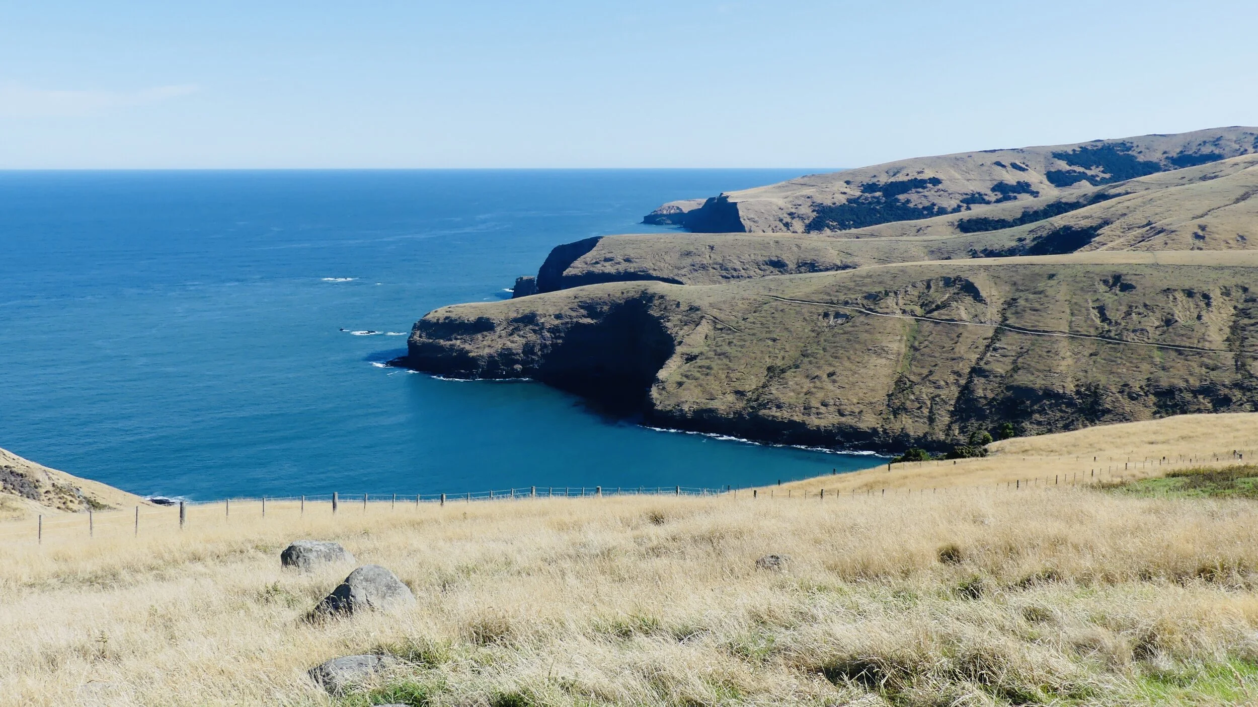 At last, New Zealand: Akaroa