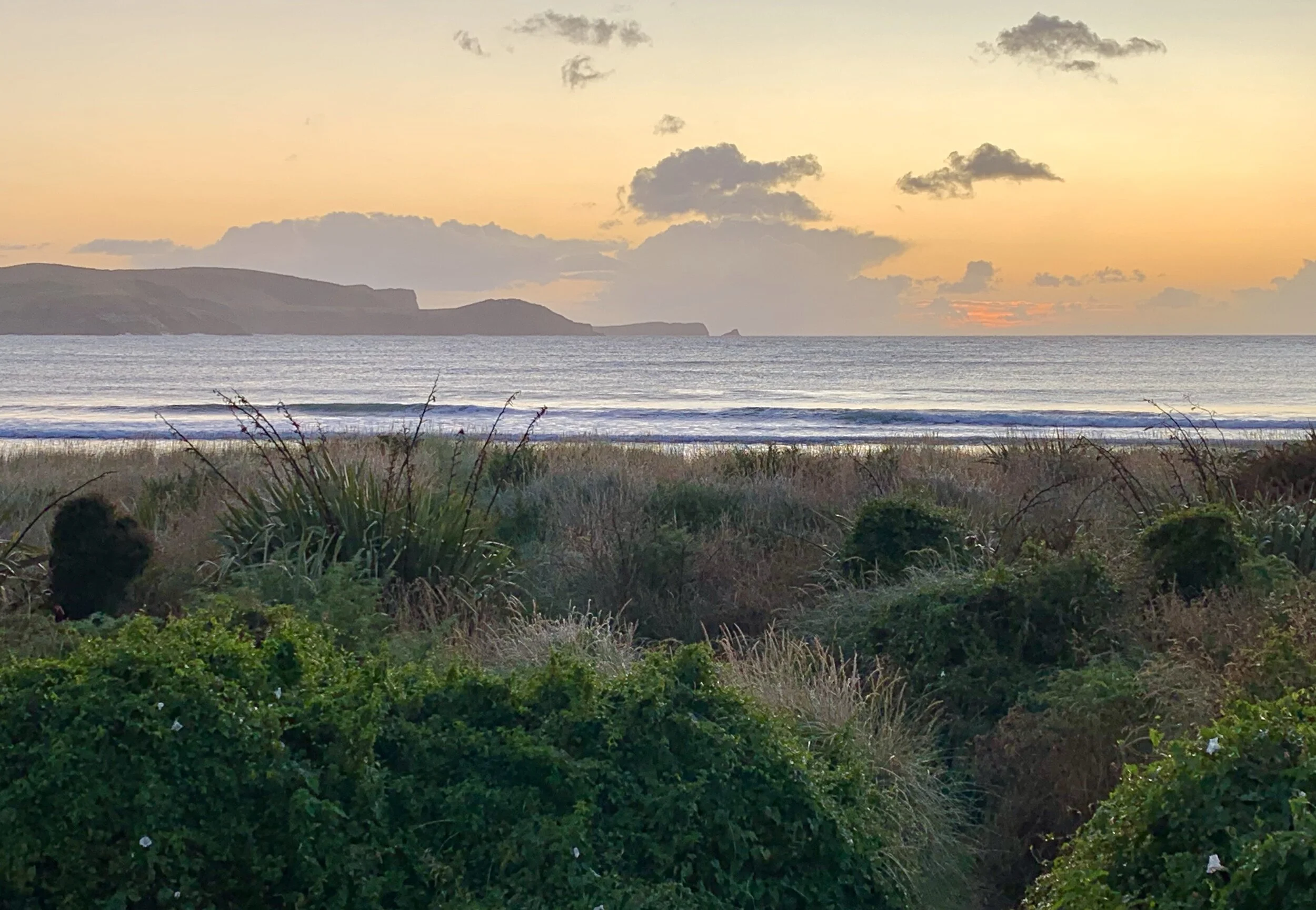 I want to live in Curio Bay