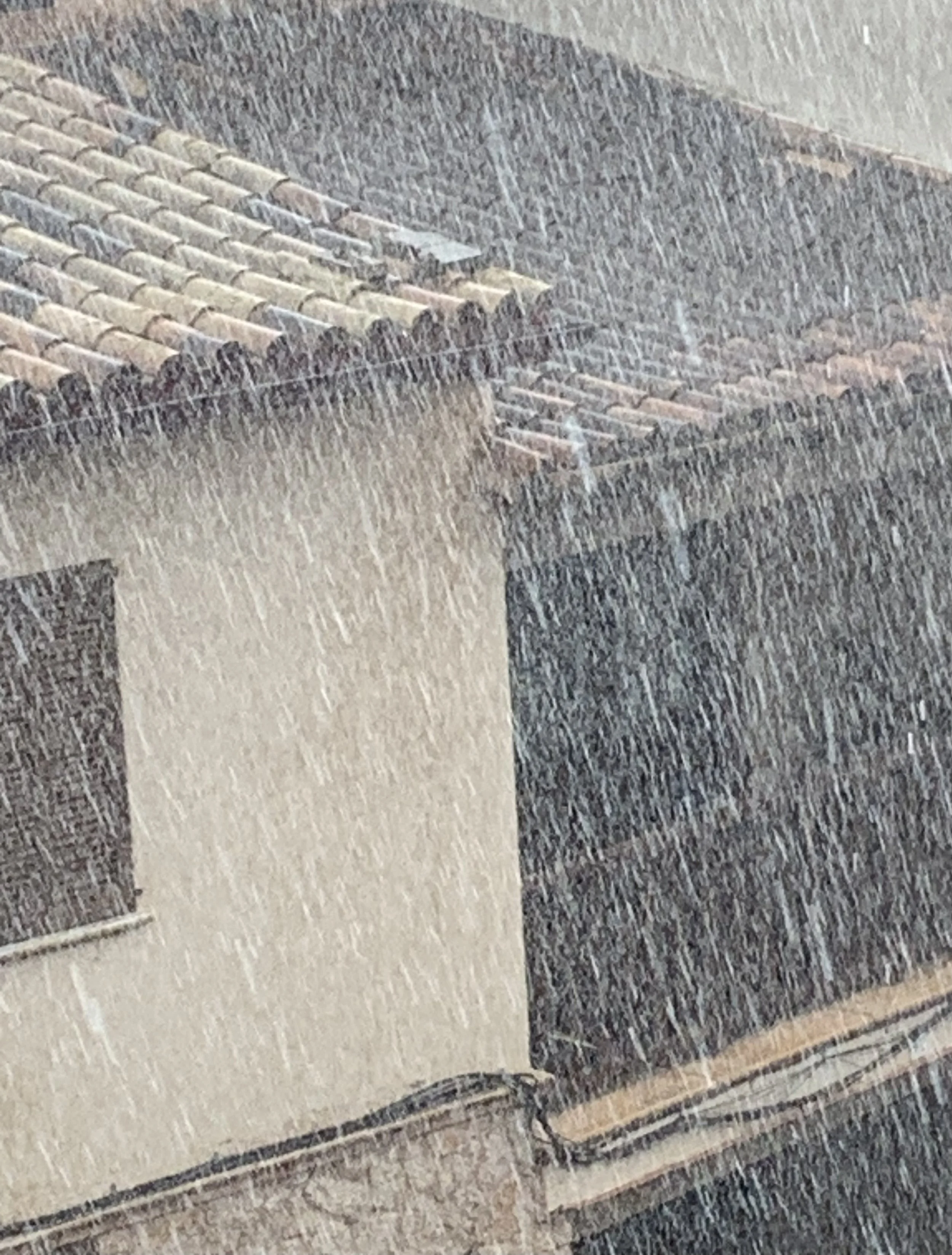 Deluge