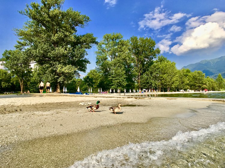 Beach at Lido Ascona, Ticino, Switzerland