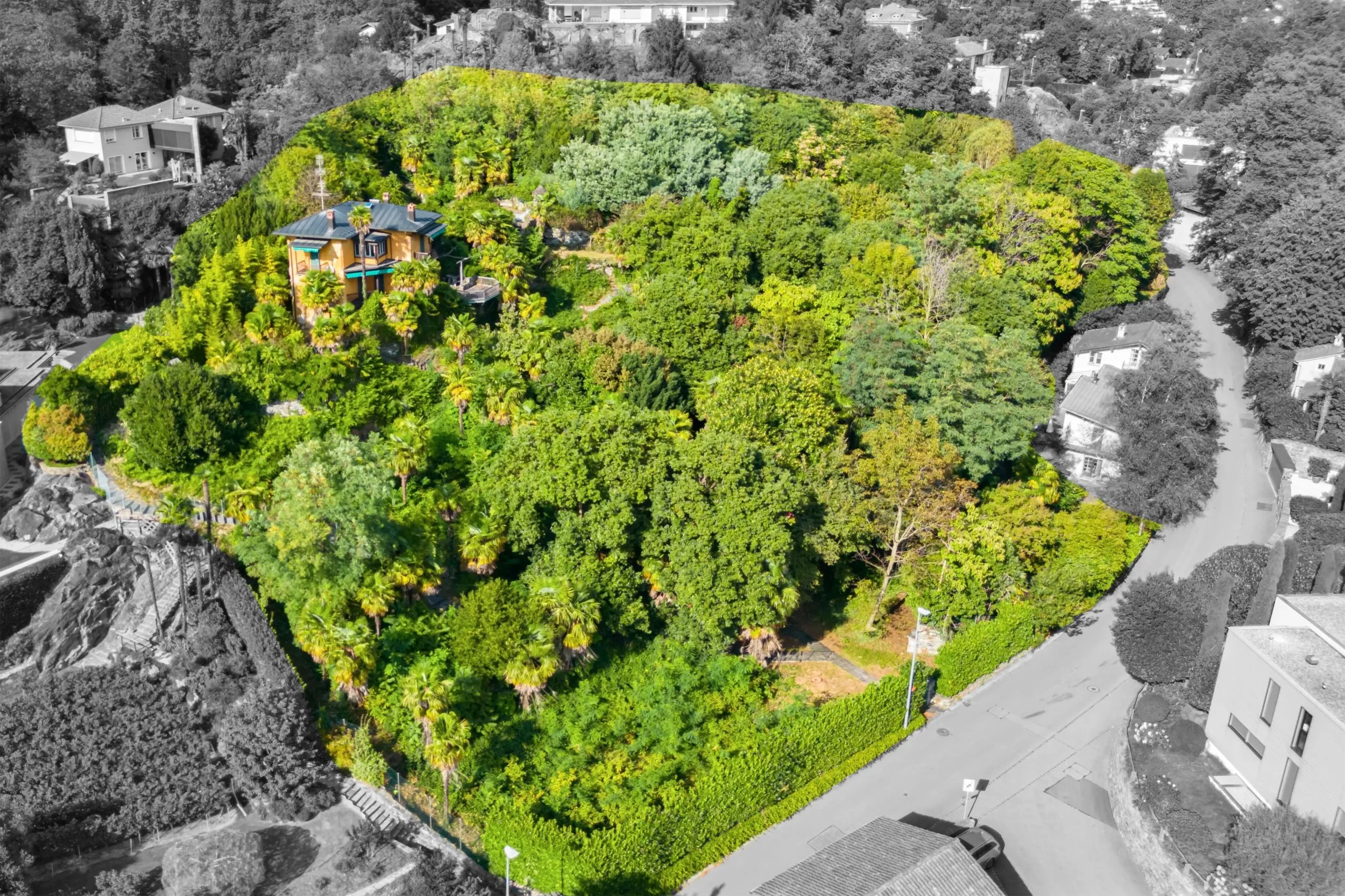 Un luogo magico sul Monte Verità ad Ascona - Terreno edificabile in posizione collinare, con area boschiva e vista sul Lago Maggiore