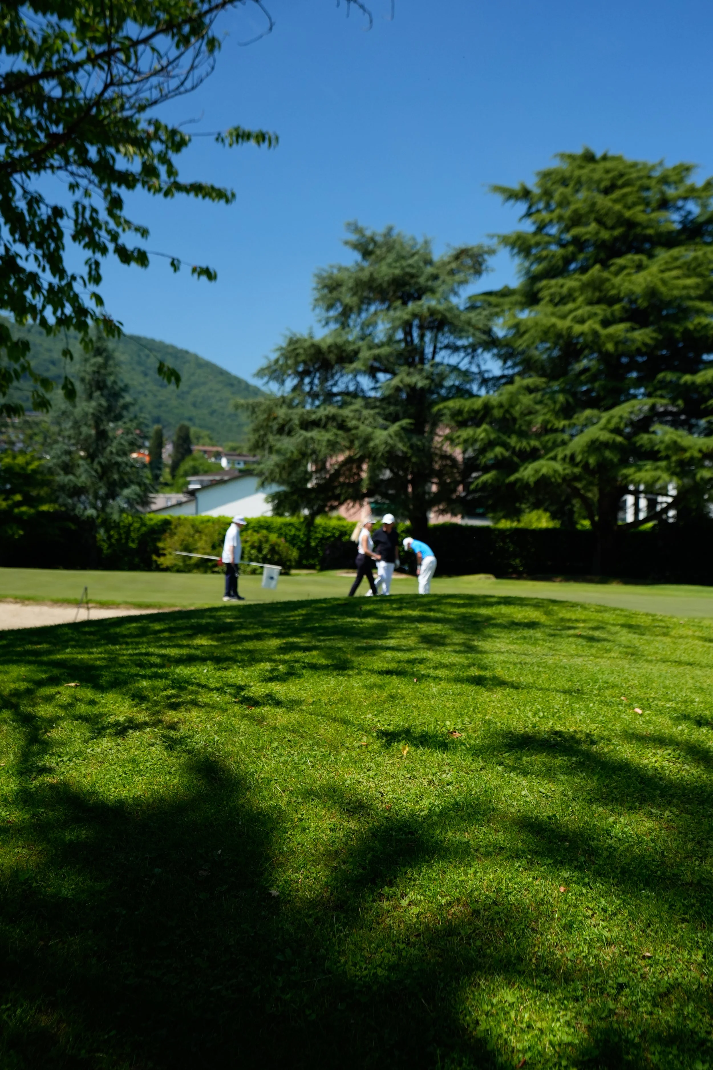 _DSC0630.jpg