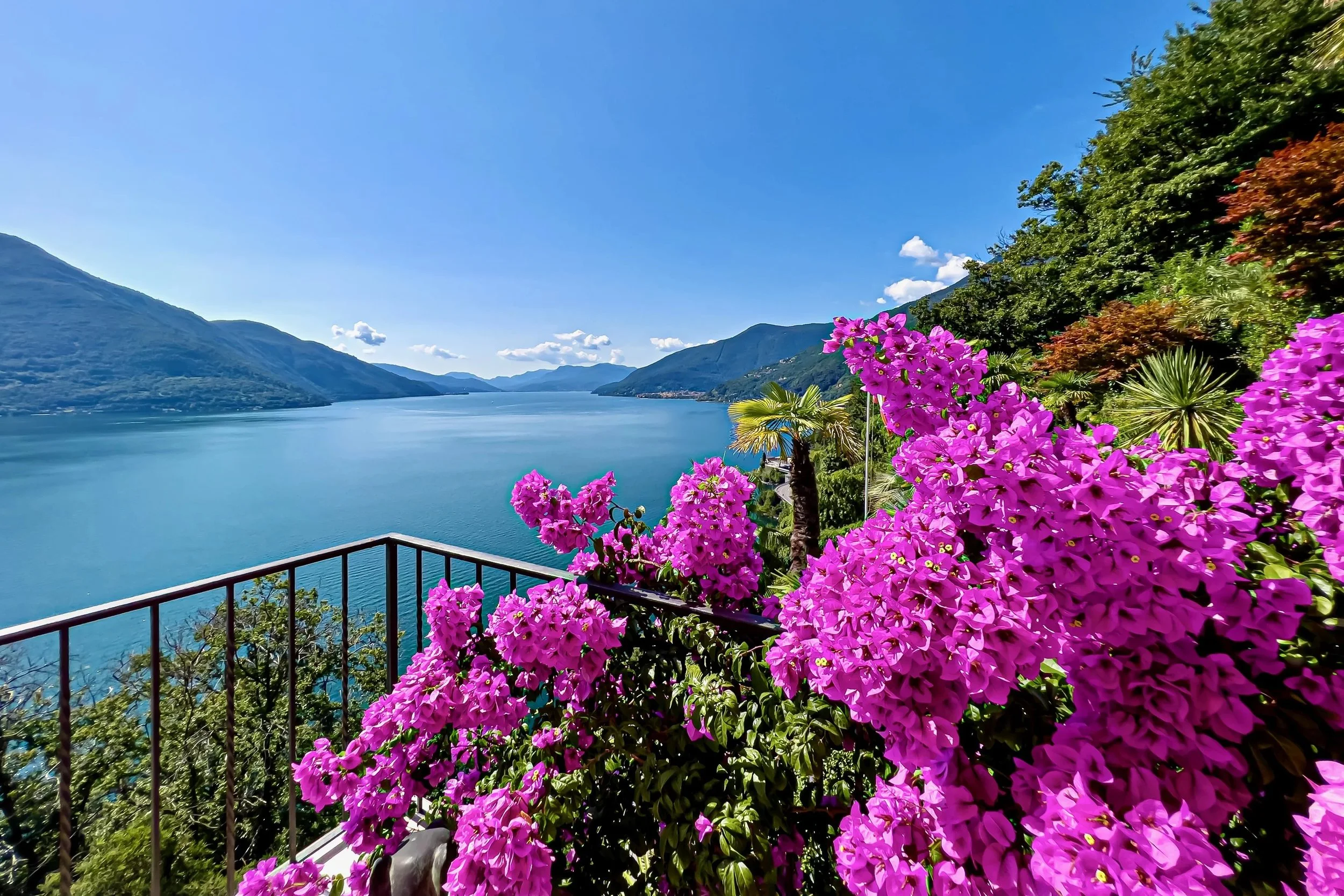 VARIAZIONE DI PREZZO - Un paradiso mediterraneo sul Lago Maggiore - Villa esclusiva con piscina a sfioro, giardino tropicale e molta privacy a Brissago